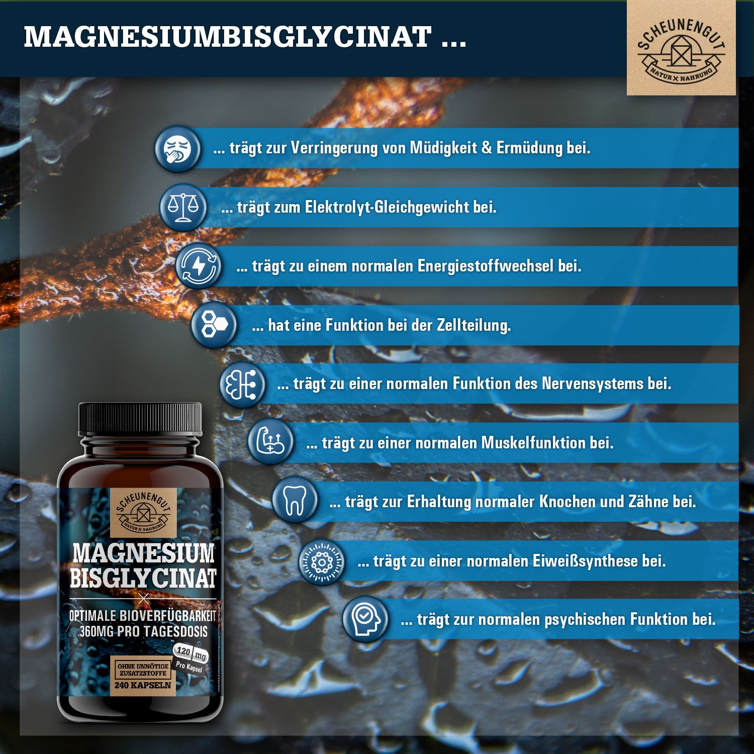 Braune Flasche mit Kapseln. Aufschrift: Magnesiumbisglycinat, 360mg pro Tagesdosis. Marke: Scheunengut. Vorteile aufgeführt.