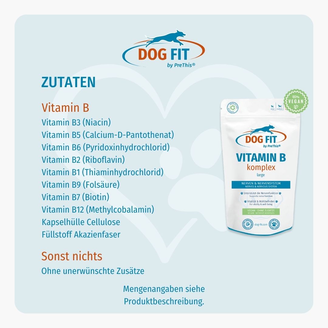 Produktverpackung DOG FIT by PreThis® VITAMIN B komplex. Zutatenliste: Vitamin B, B3, B5, B6, B2, B1, B9, B7, B12. Vegan-Siegel.