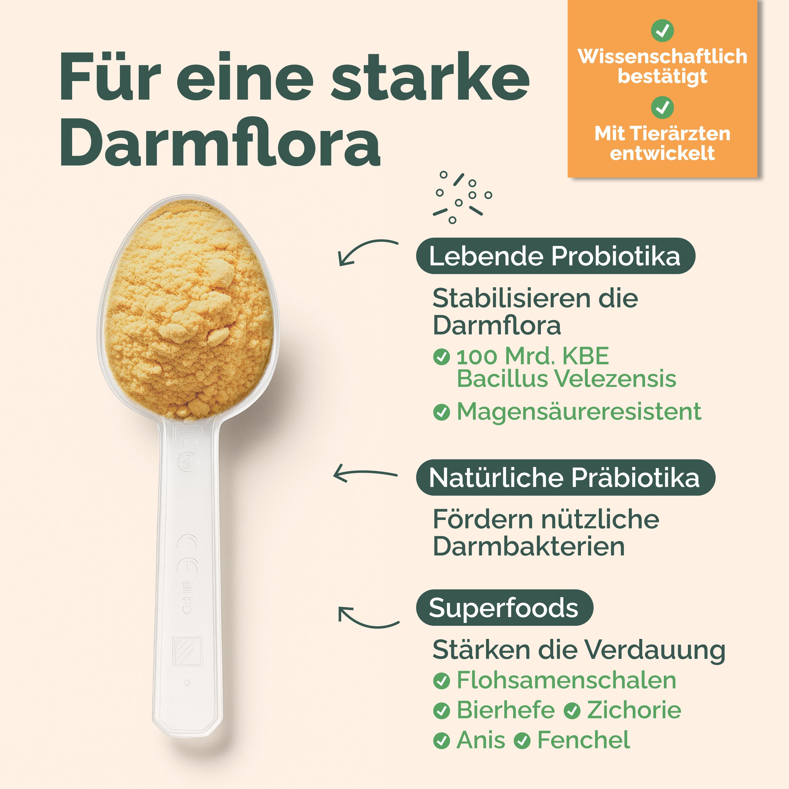 Löffel mit gelbem Pulver. Text: Für eine starke Darmflora. Lebende Probiotika, natürliche Präbiotika, Superfoods. Wissenschaftlich bestätigt, mit Tierärzten entwickelt.