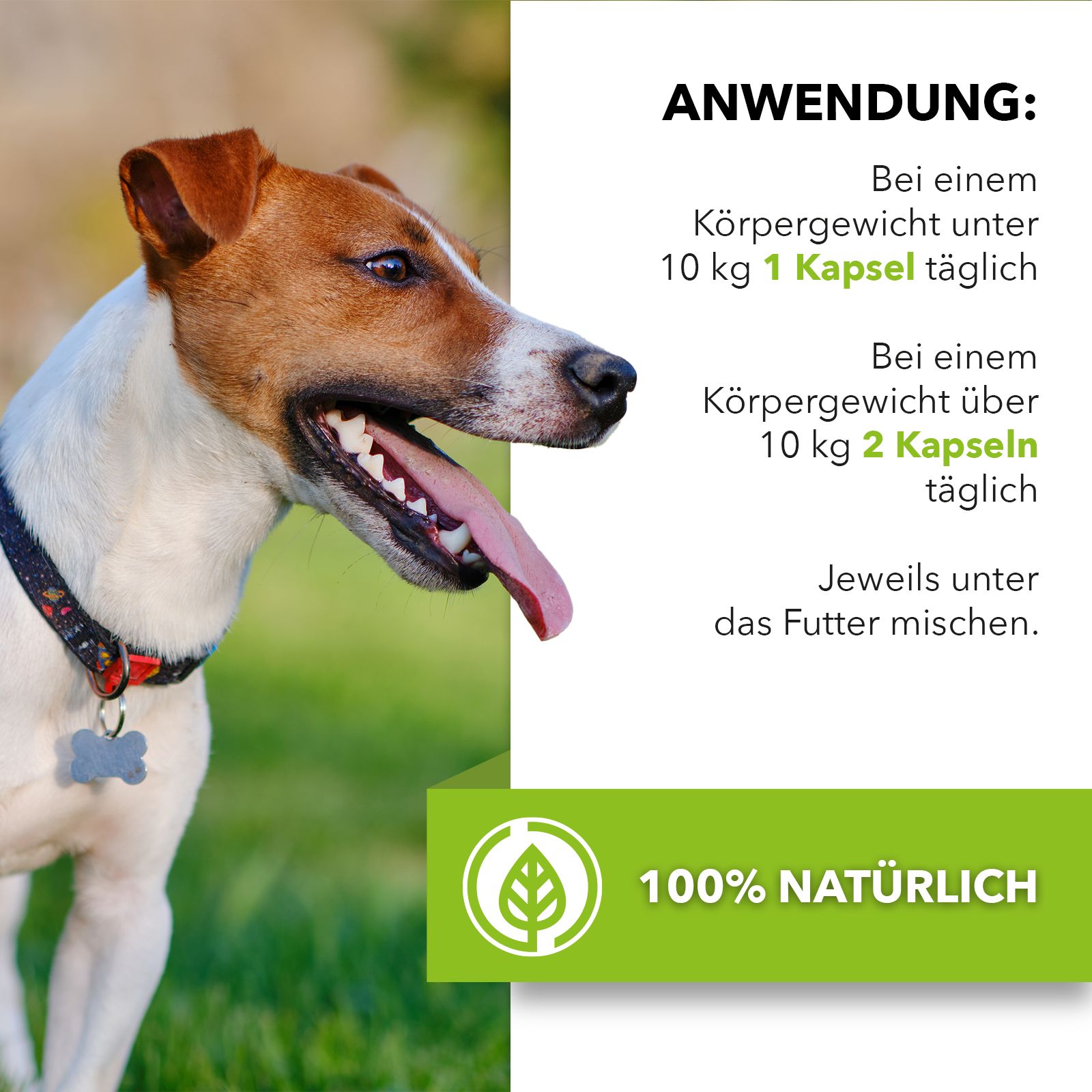 Saint Nutrition® | Läuse und Flöhe Presslinge