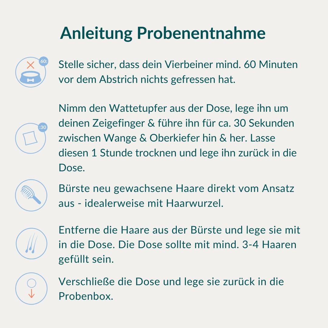 Ergebnistabelle eines Mikronährstofftests mit farbigen Quadraten zur Interpretation.