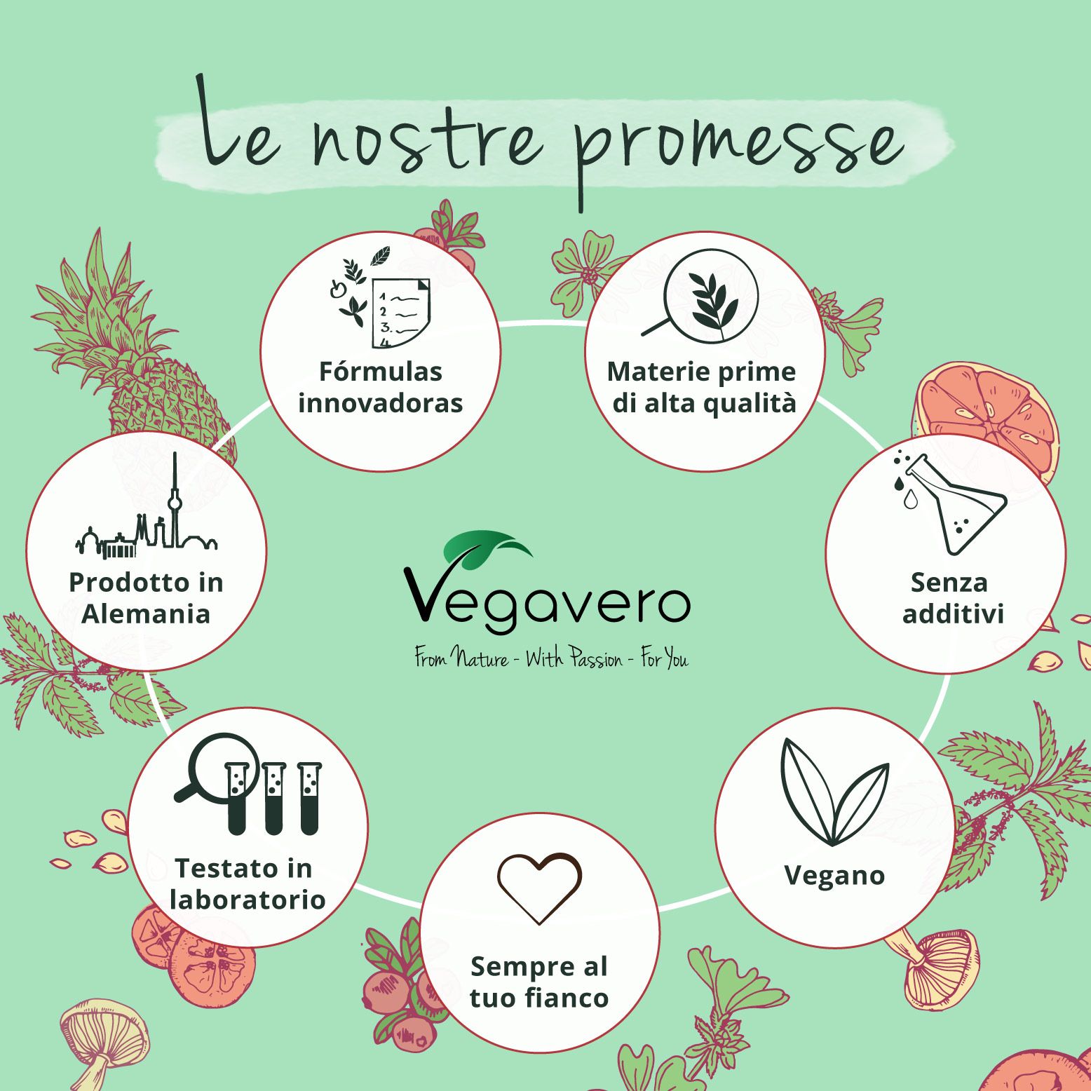 Grafico circolare con promesse: Formule innovative, materie prime di alta qualità, senza additivi, vegano.