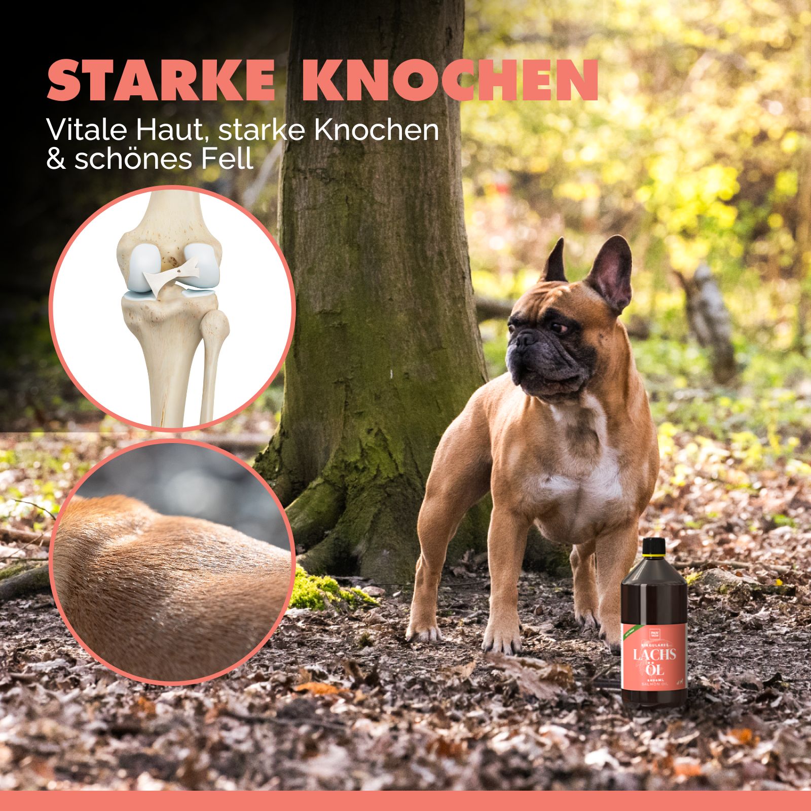PAW WOW Singulares Lachsöl