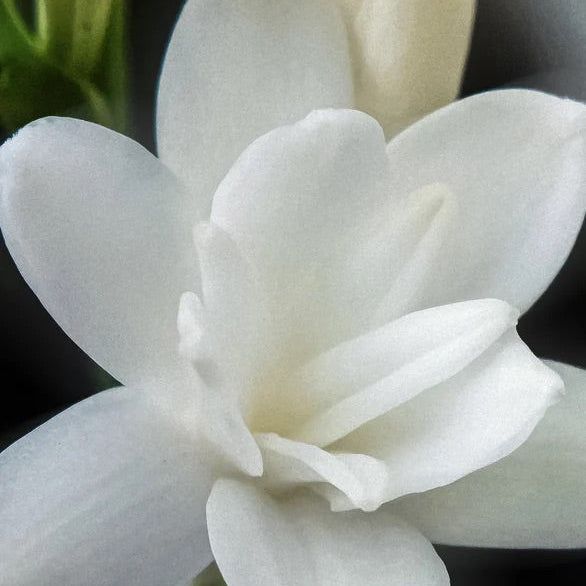 Zero Skin Intensives SOS Treatment, mit Keratin reparierend und nährend