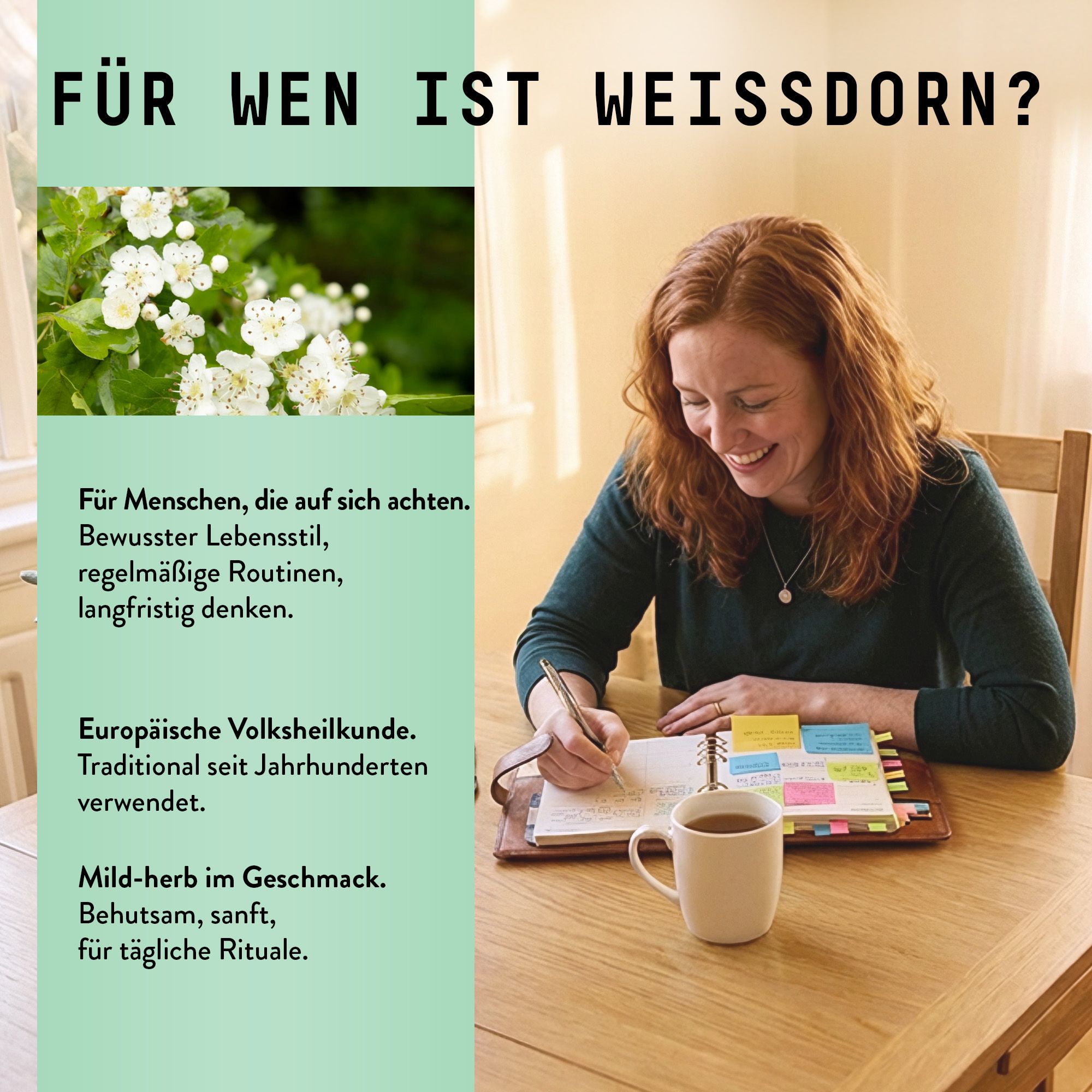 Frau am Tisch, Notizen machend. Text: Für wen ist Weißdorn? Marishanti. Weißdornblüten. Tasse Tee.