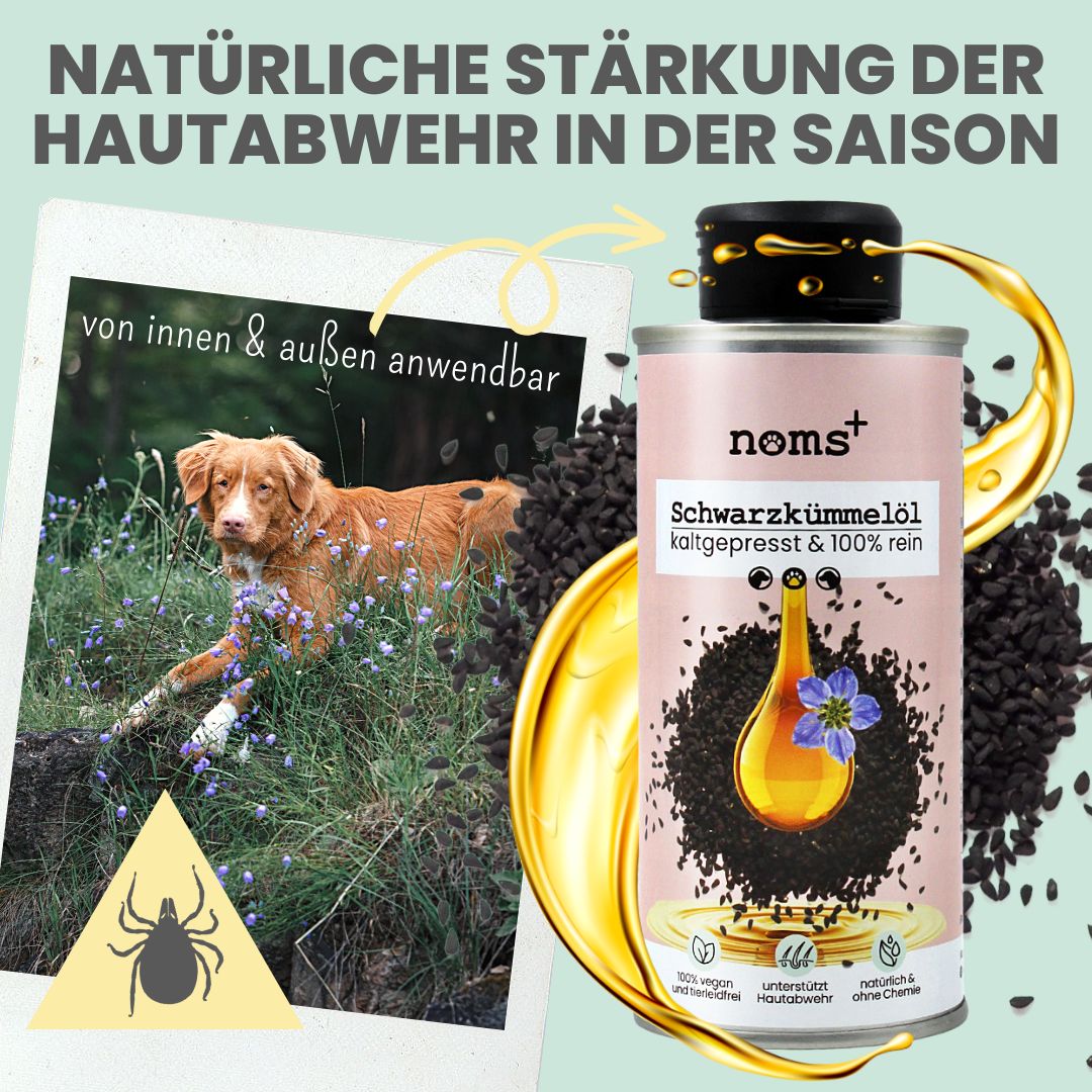 noms+ Premium Schwarzkümmelöl für Hunde