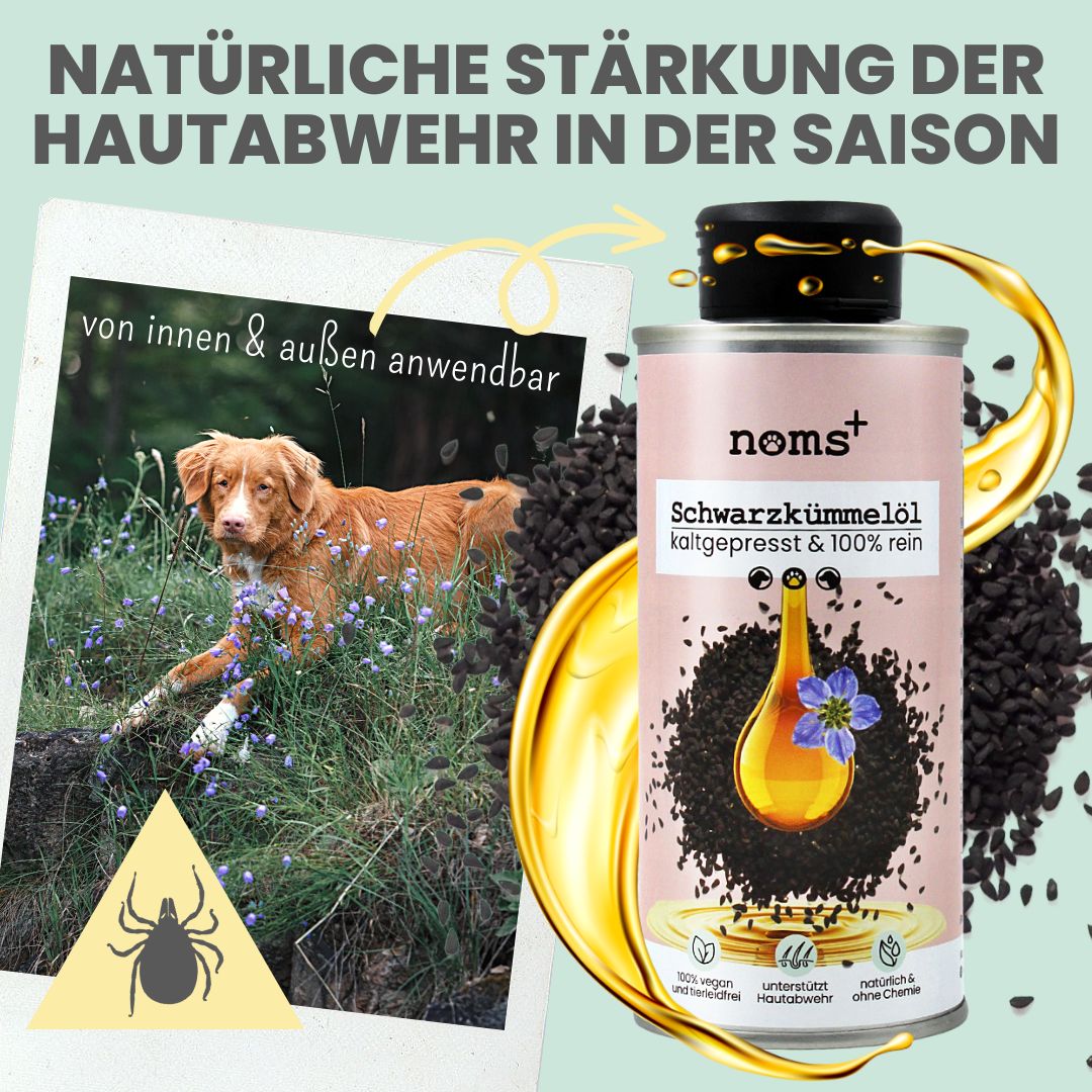 noms+ Premium Schwarzkümmelöl für Hunde 250 ml Öl