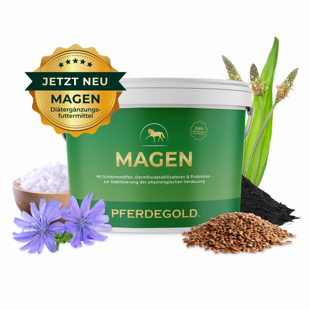 Pferdegold Magen