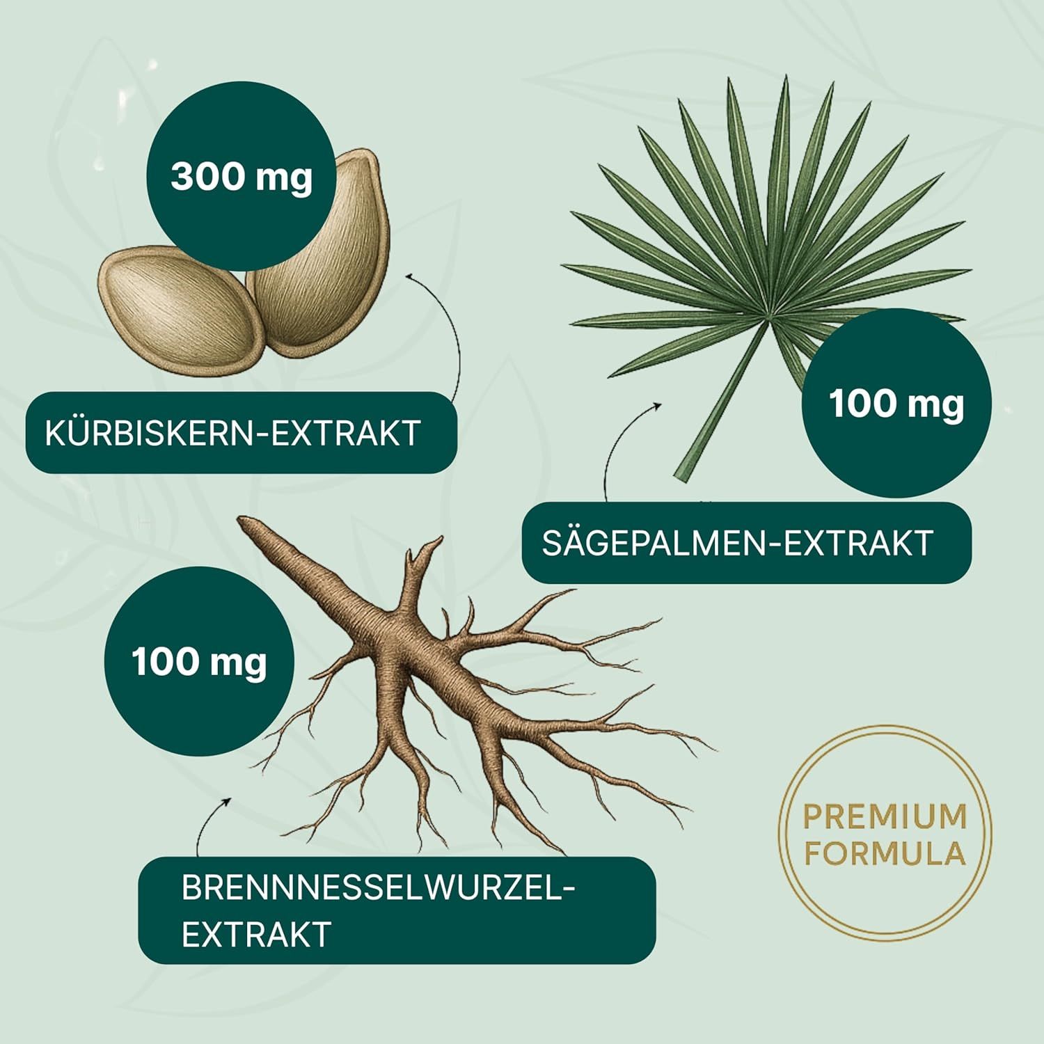 Illustrationen von Kürbiskern-, Sägepalmen- und Brennnesselwurzel-Extrakten. Mengen: 300 mg, 100 mg, 100 mg. Premium Formula.