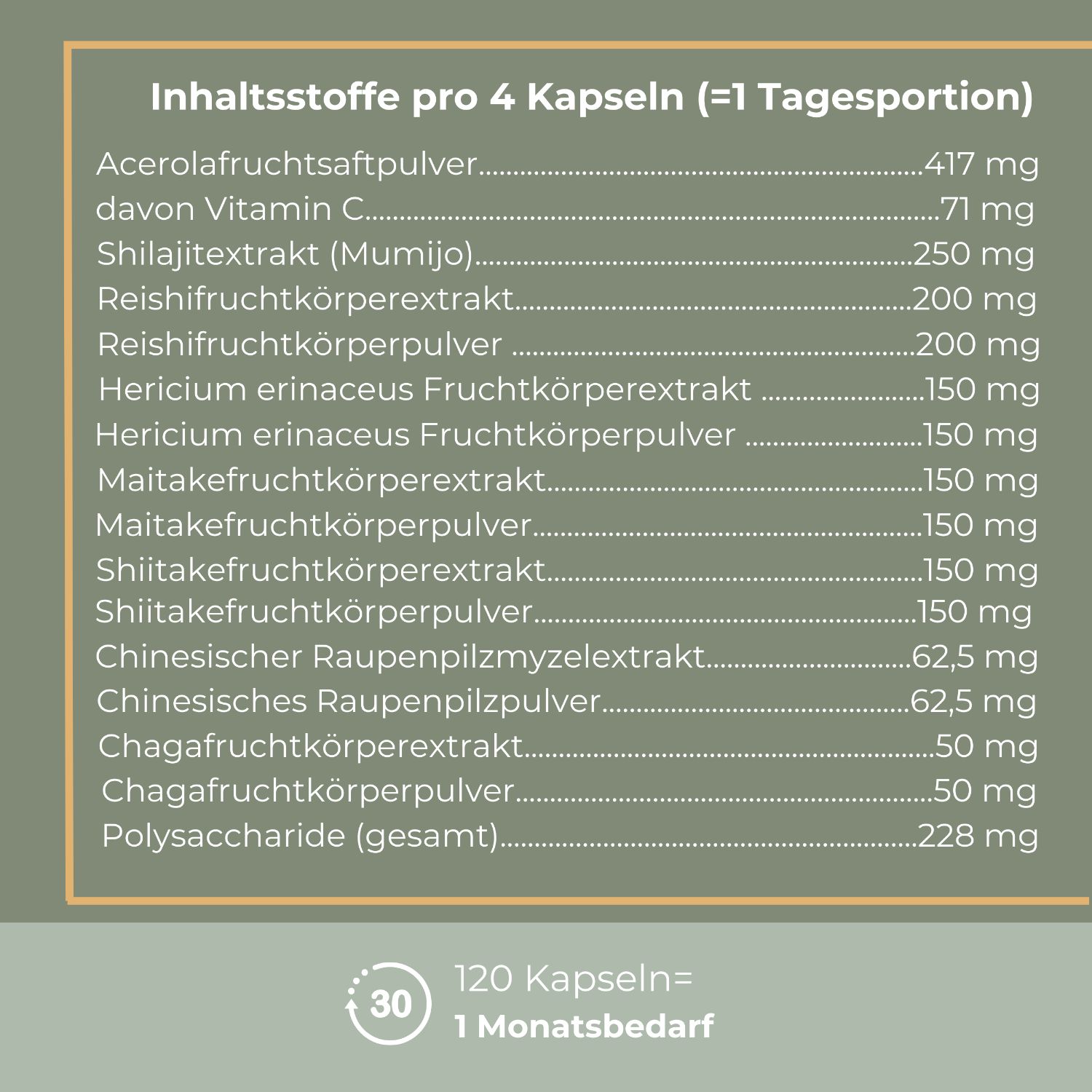 Liste der Inhaltsstoffe pro 4 Kapseln Viktilabs MykoBalance Daily.