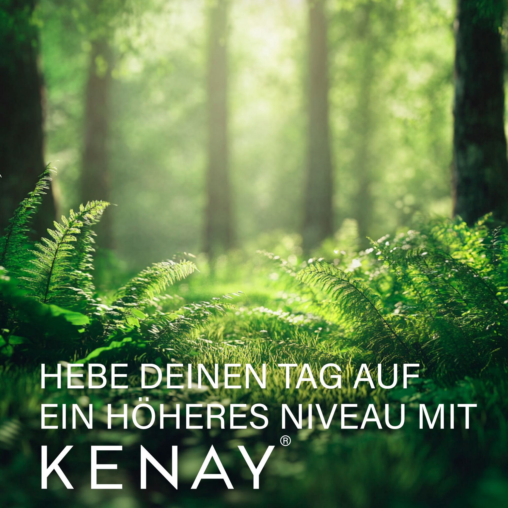 Waldszene mit Text: Hebe deinen Tag auf ein höheres Niveau mit KENAY. Grüner Hintergrund.