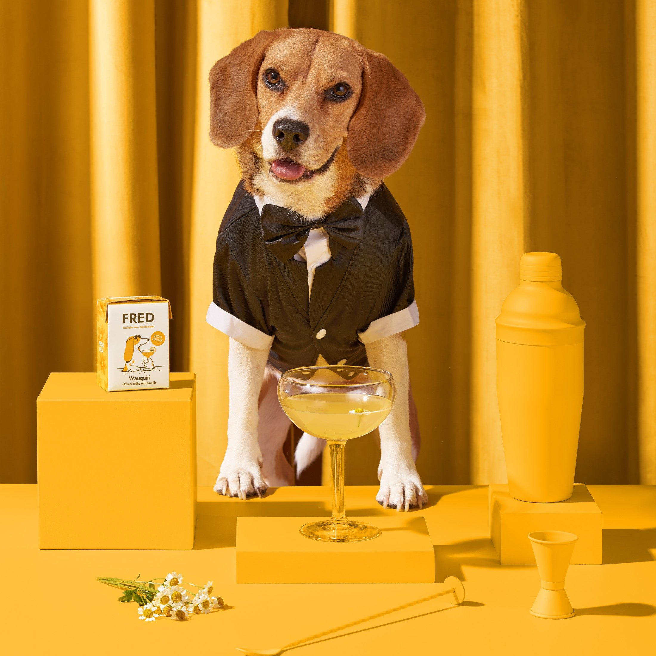 Hund in Smoking vor Cocktail. FRED Dog Drink-Packung daneben. Gelbes Set mit Cocktail-Utensilien.