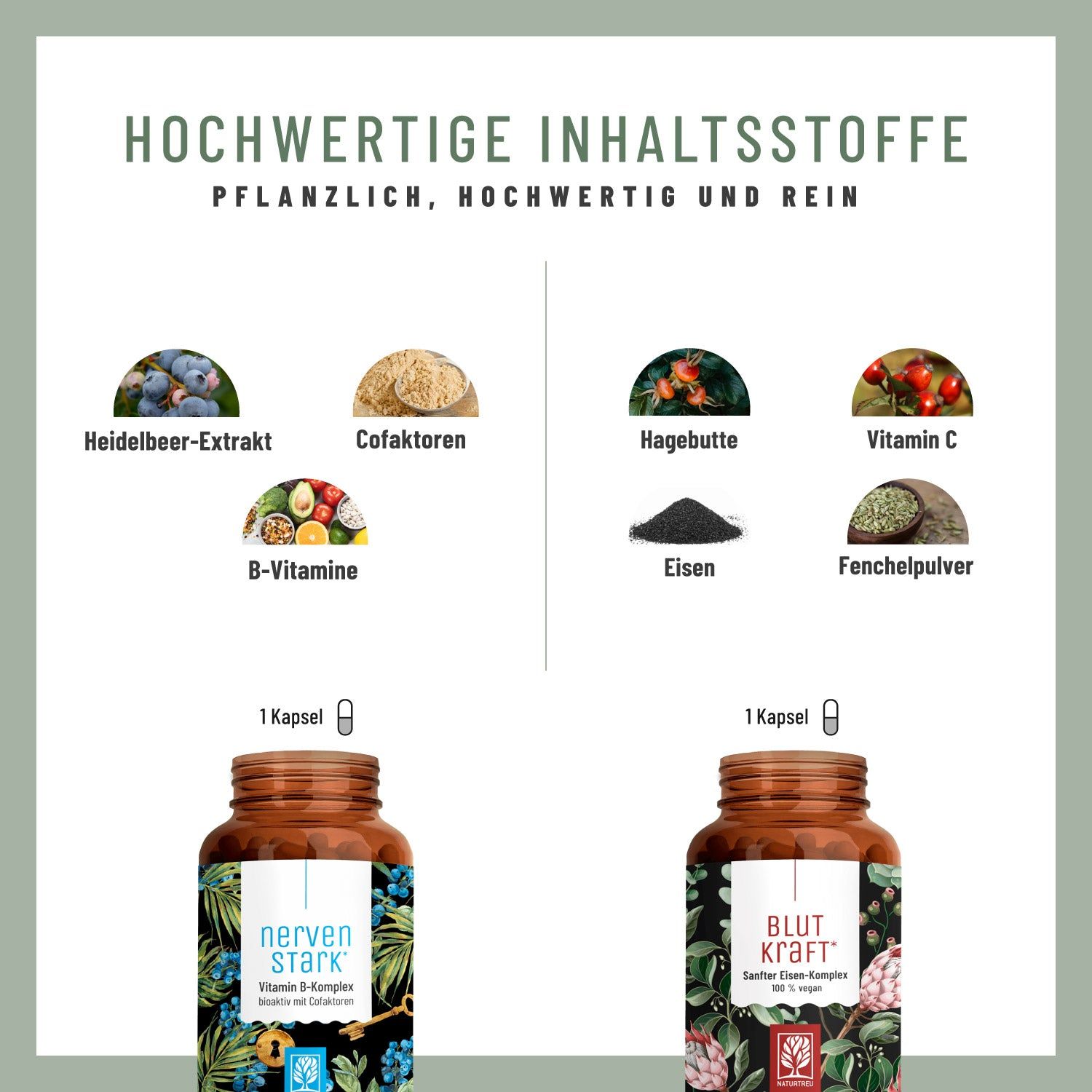 Infografik mit Zutaten: Heidelbeer-Extrakt, Cofaktoren, Hagebutte, Vitamin C, B-Vitamine, Eisen, Fenchelpulver. Zwei Flaschen unten.