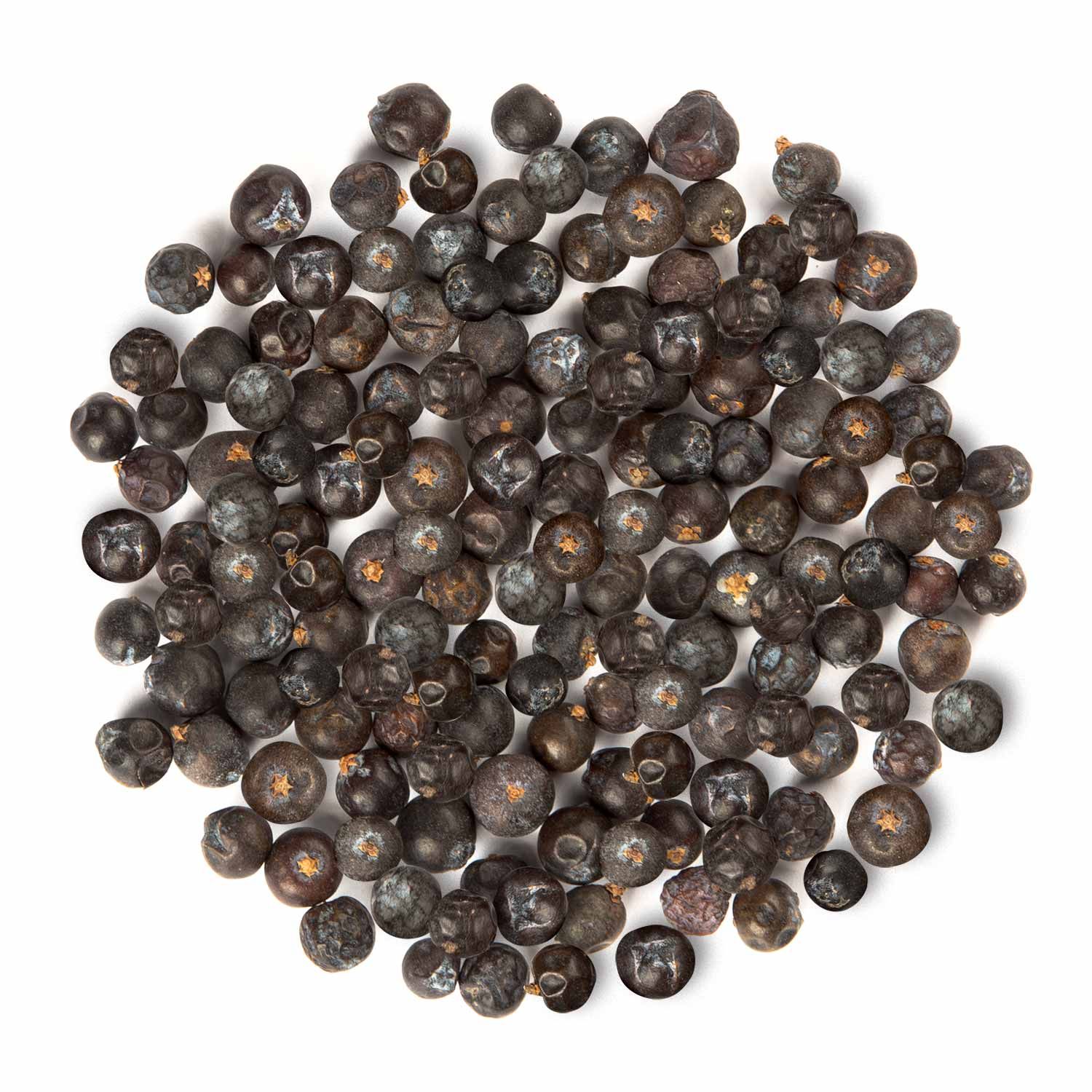 Draufsicht auf eine Ansammlung von Wacholderbeeren. Runde, dunkle Beeren mit unregelmäßiger Oberfläche.