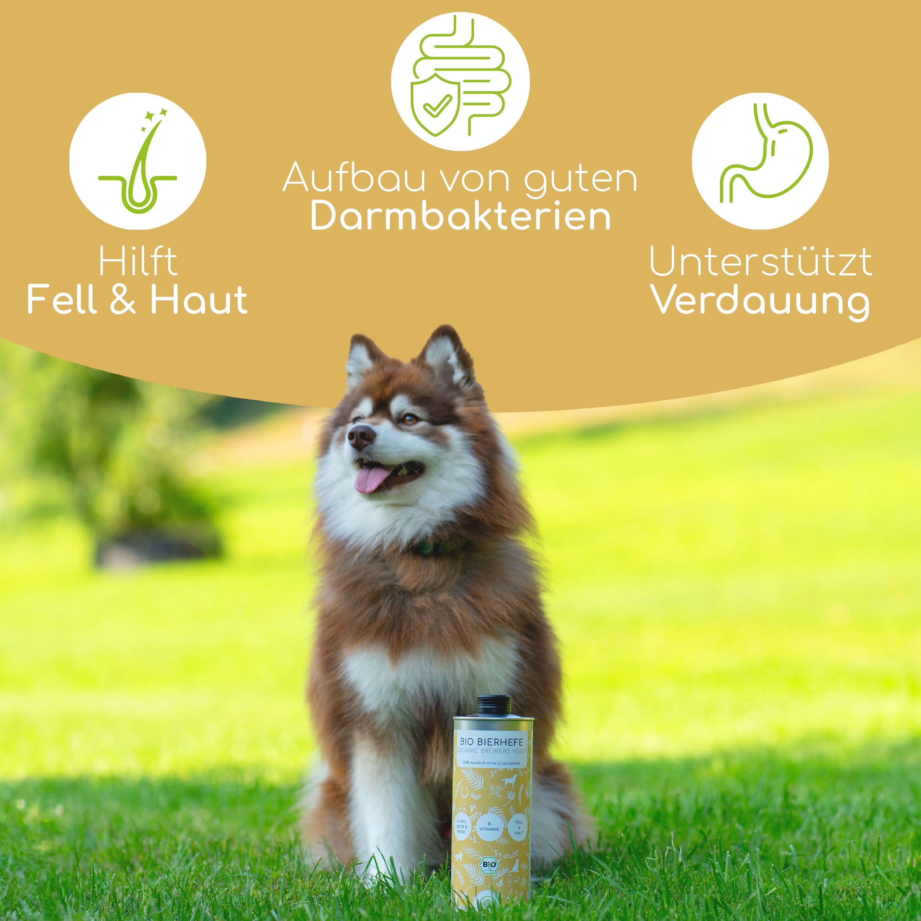 Hund mit Dose Wolfsbacher Natur Bio Bierhefe. Text: Hilft Fell & Haut, Aufbau von guten Darmbakterien, Unterstützt Verdauung.