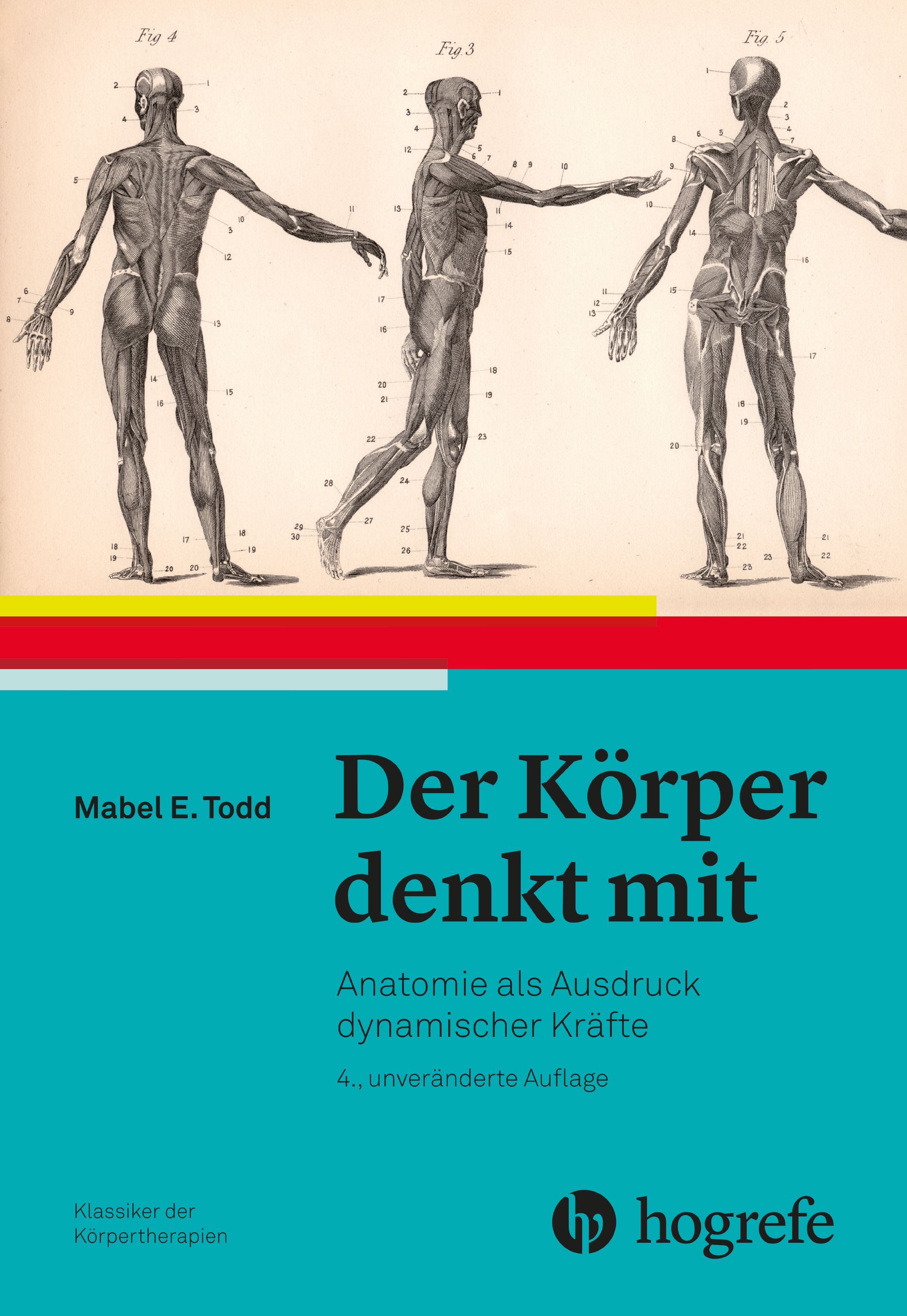 Buchcover mit anatomischen Zeichnungen und dem Titel "Der Körper denkt mit". Autorin: Mabel E. Todd. Verlag: Hogrefe.