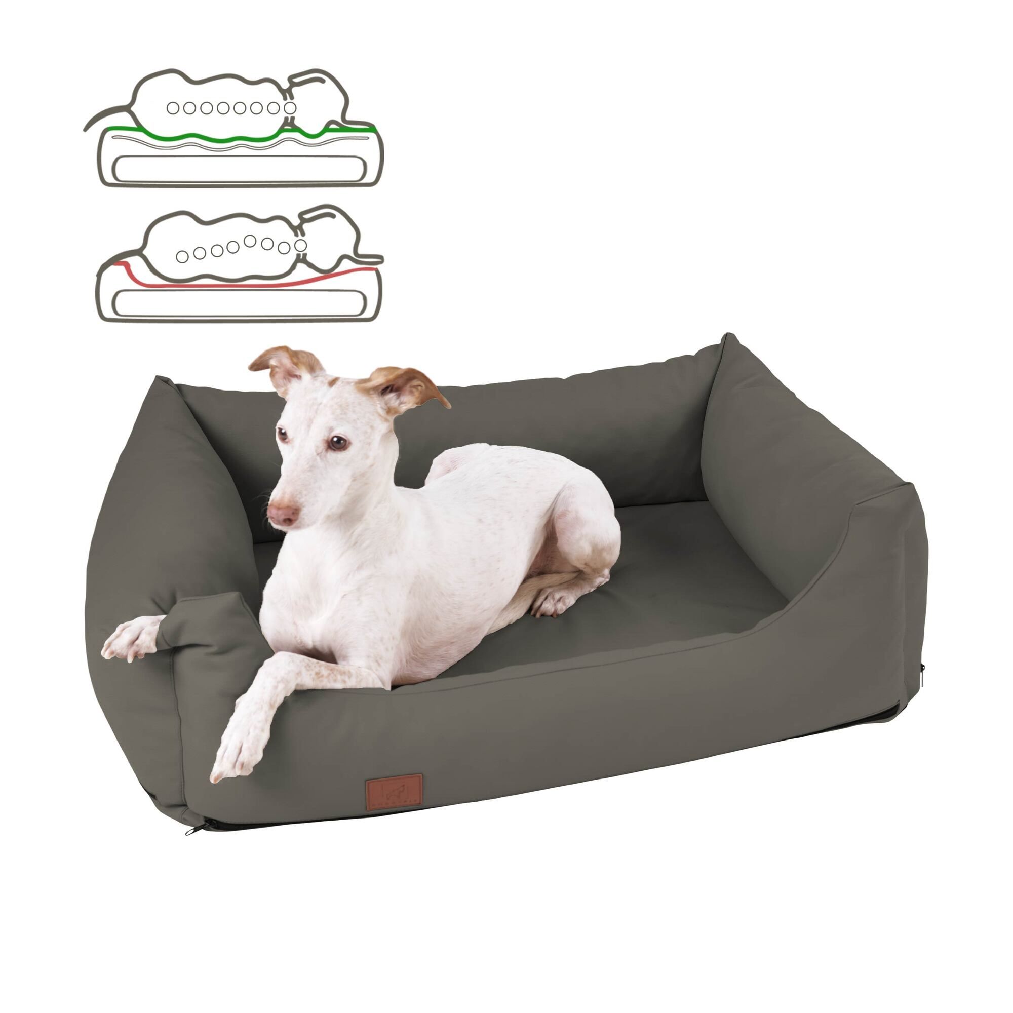 Hundebett, taupefarbenes Kunstleder, rechteckig, mit Hund. Skizzen oben links. Braunes Label.