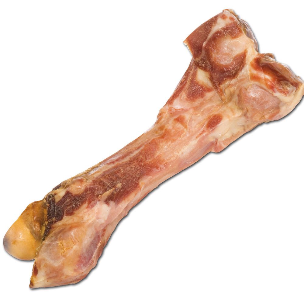 Einzelner Kauknochen, diagonale Ansicht. Knochen mit Fleisch, gelbem Ende. Auf weißem Hintergrund.
