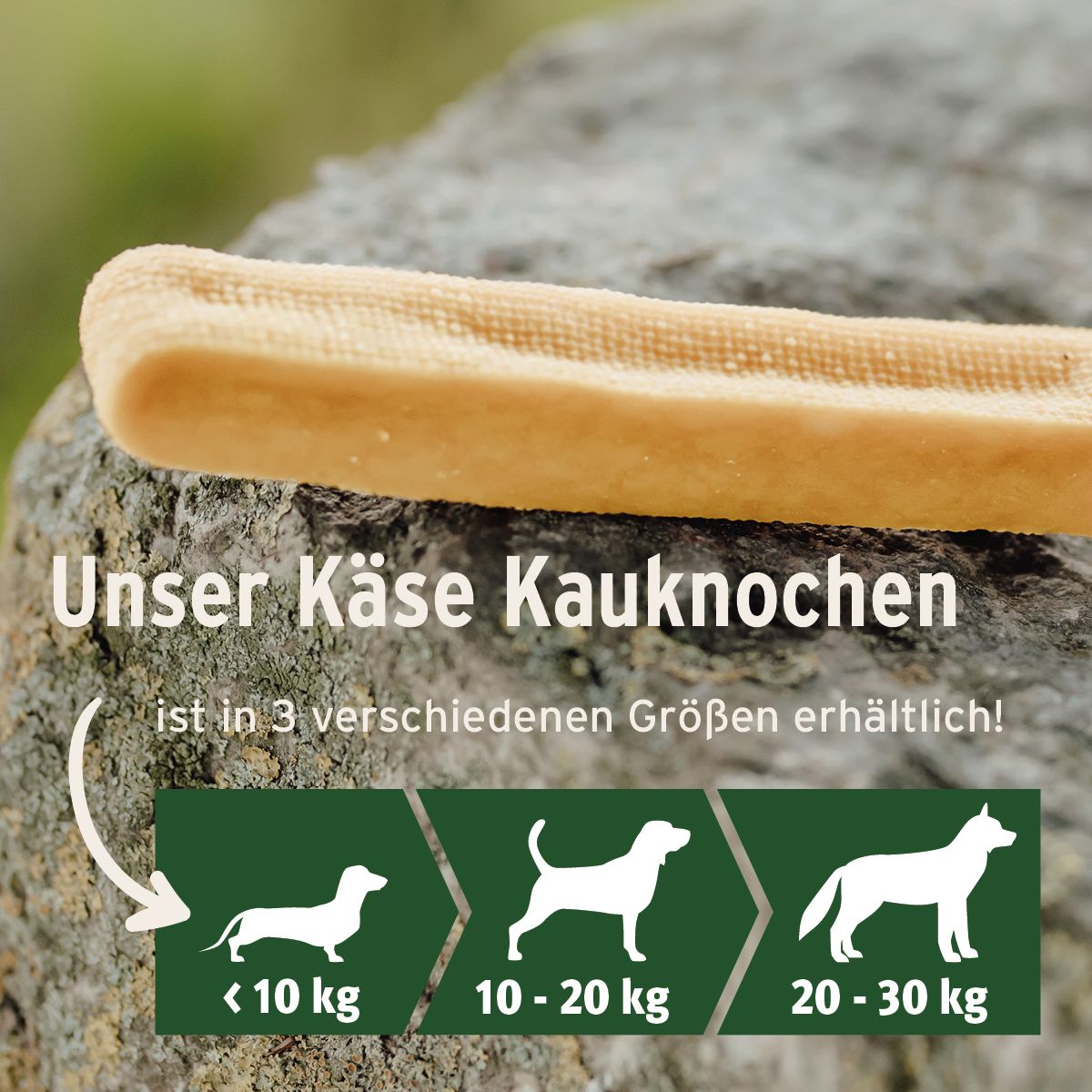 Ein Käsekauknochen liegt auf einem Stein. Text: Unser Käse Kauknochen ist in 3 verschiedenen Größen erhältlich!