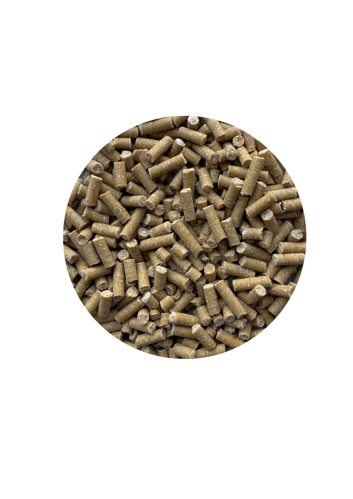 Nahaufnahme von zylindrischen Pellets in einem Kreis. Helle, beige Farbe.