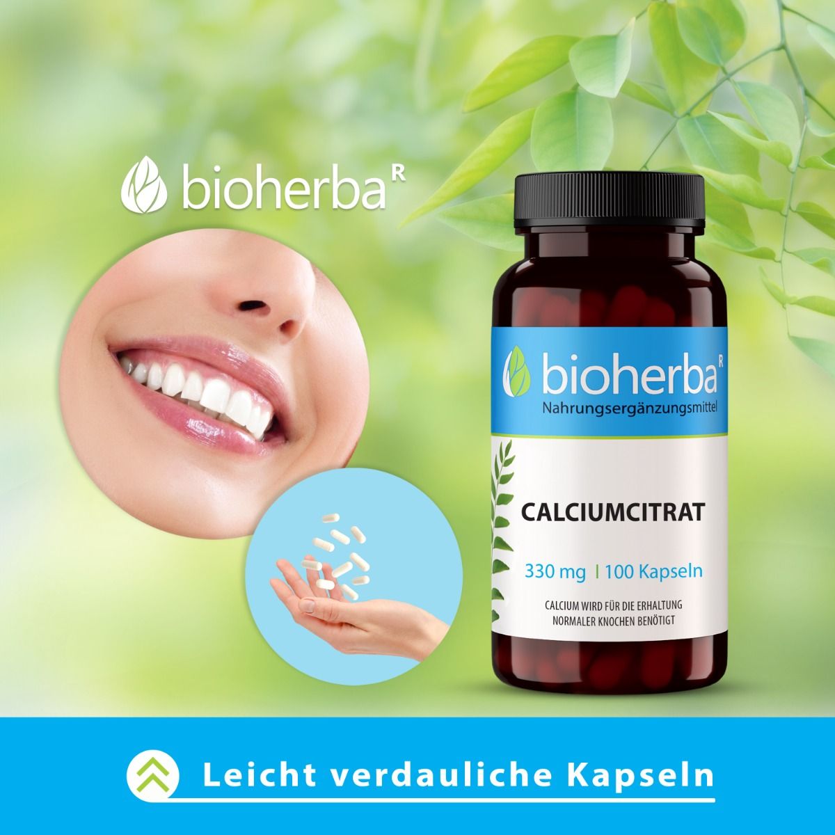 Calciumcitrat 330 mg 100 Kapseln PZN 19642729