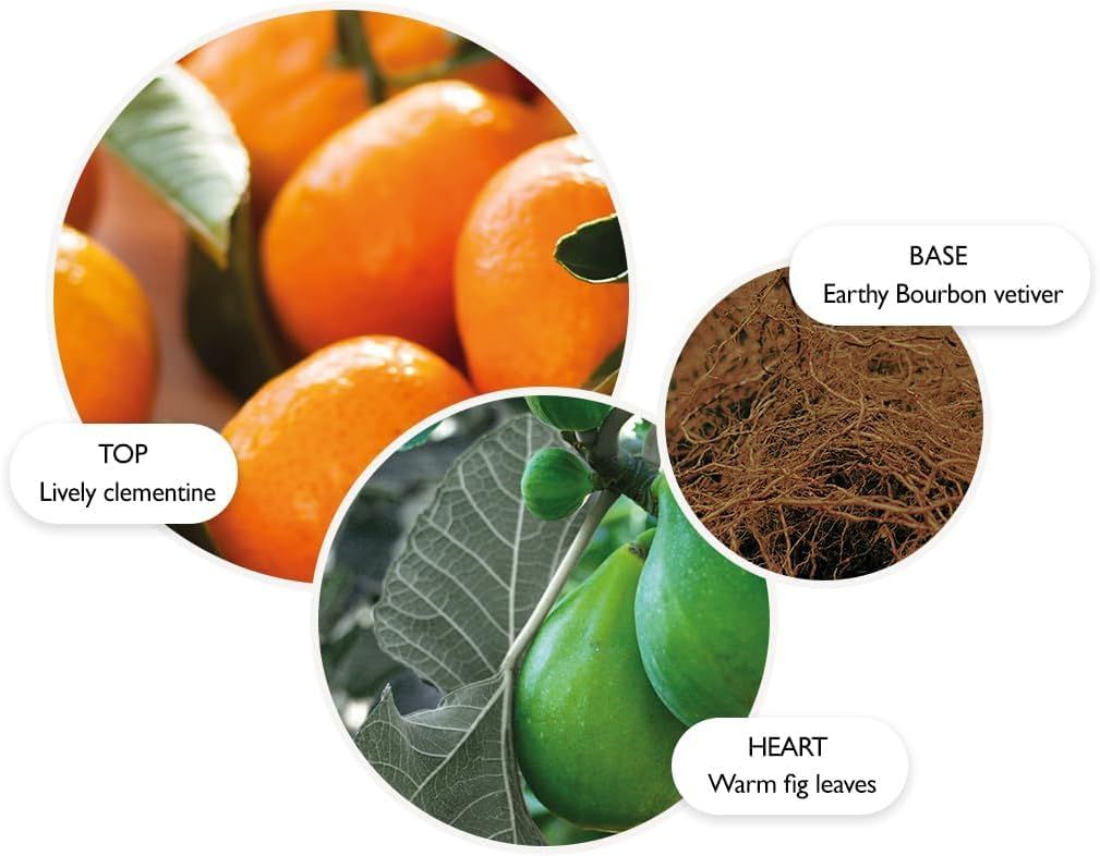 Molton Brown, Sunlit Clementine & Vetiver Körperlotion