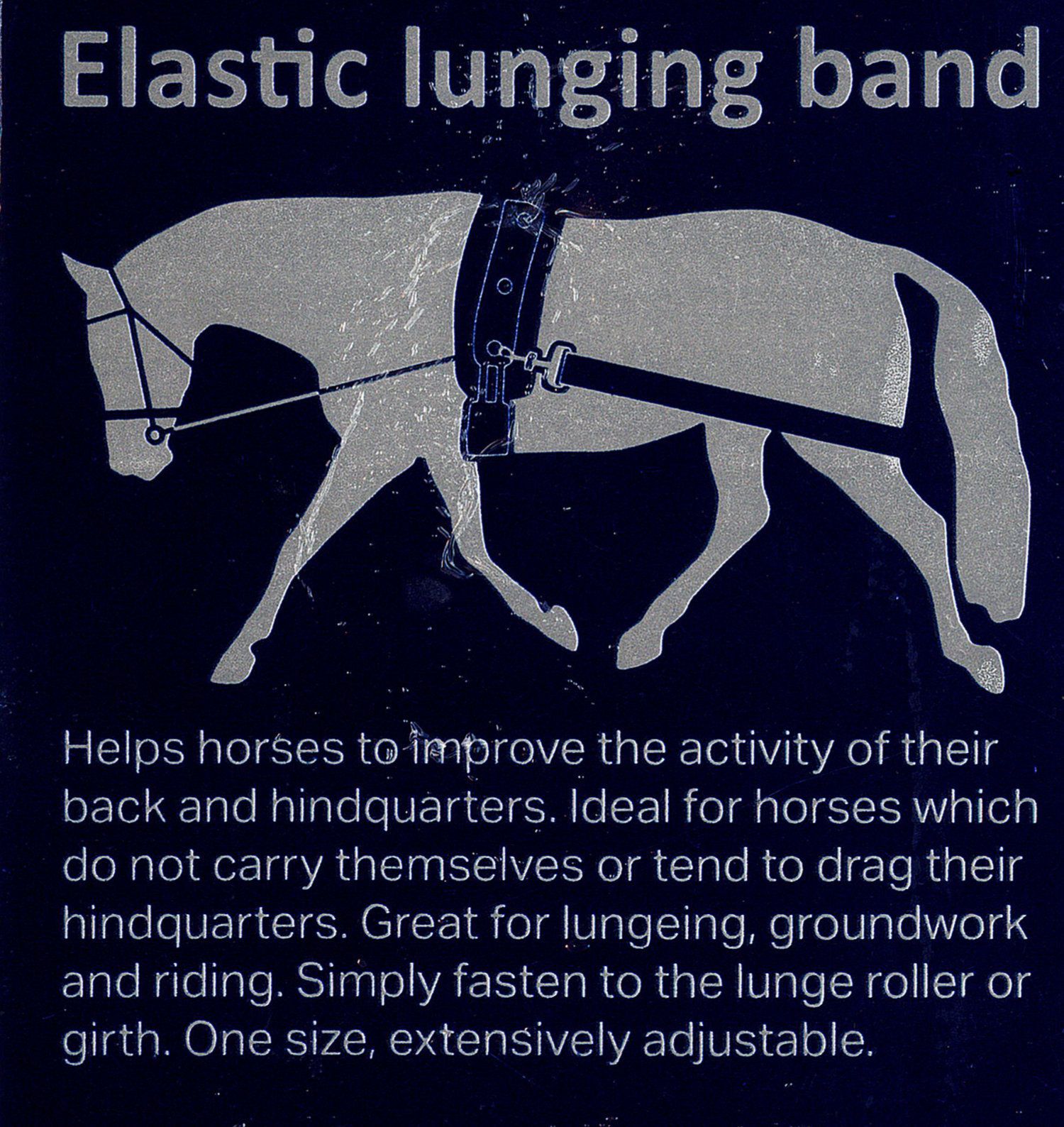 Harry`s Horse Longierband elastisch in schwarz, verstellbar
