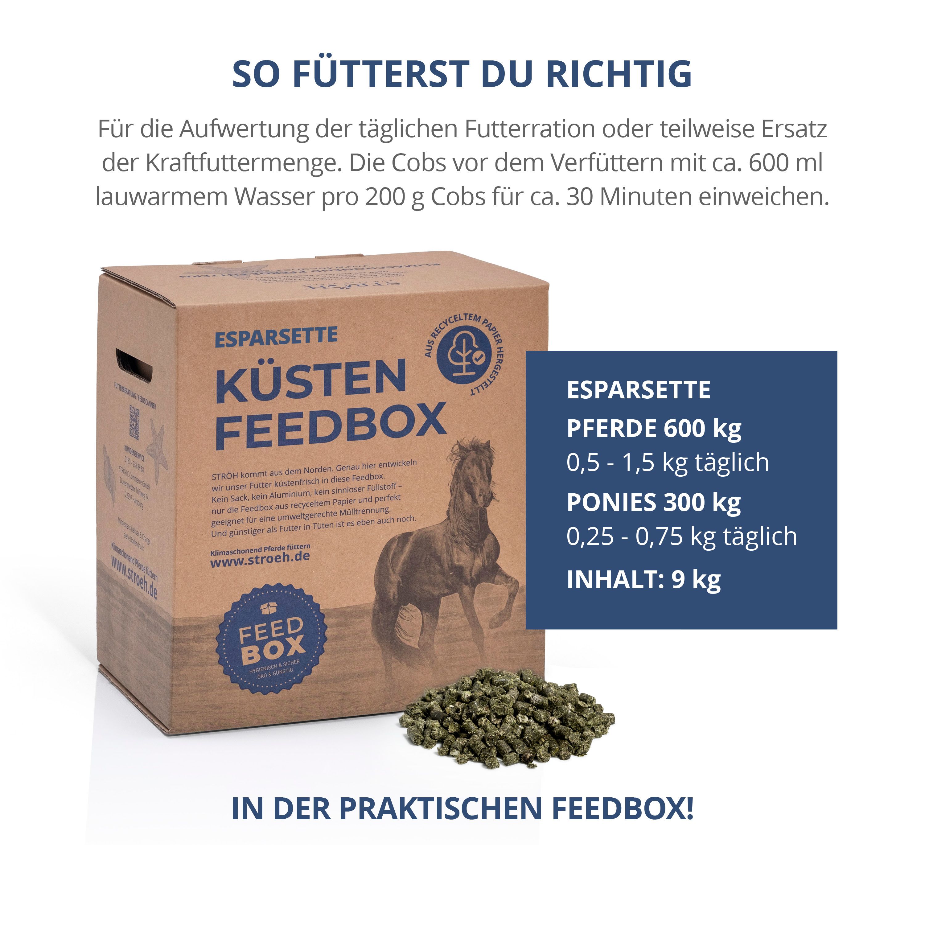 Karton Küsten Feedbox mit Esparsette-Cobs. Text: Fütterungsempfehlung für Pferde und Ponys. Inhalt: 9 kg.