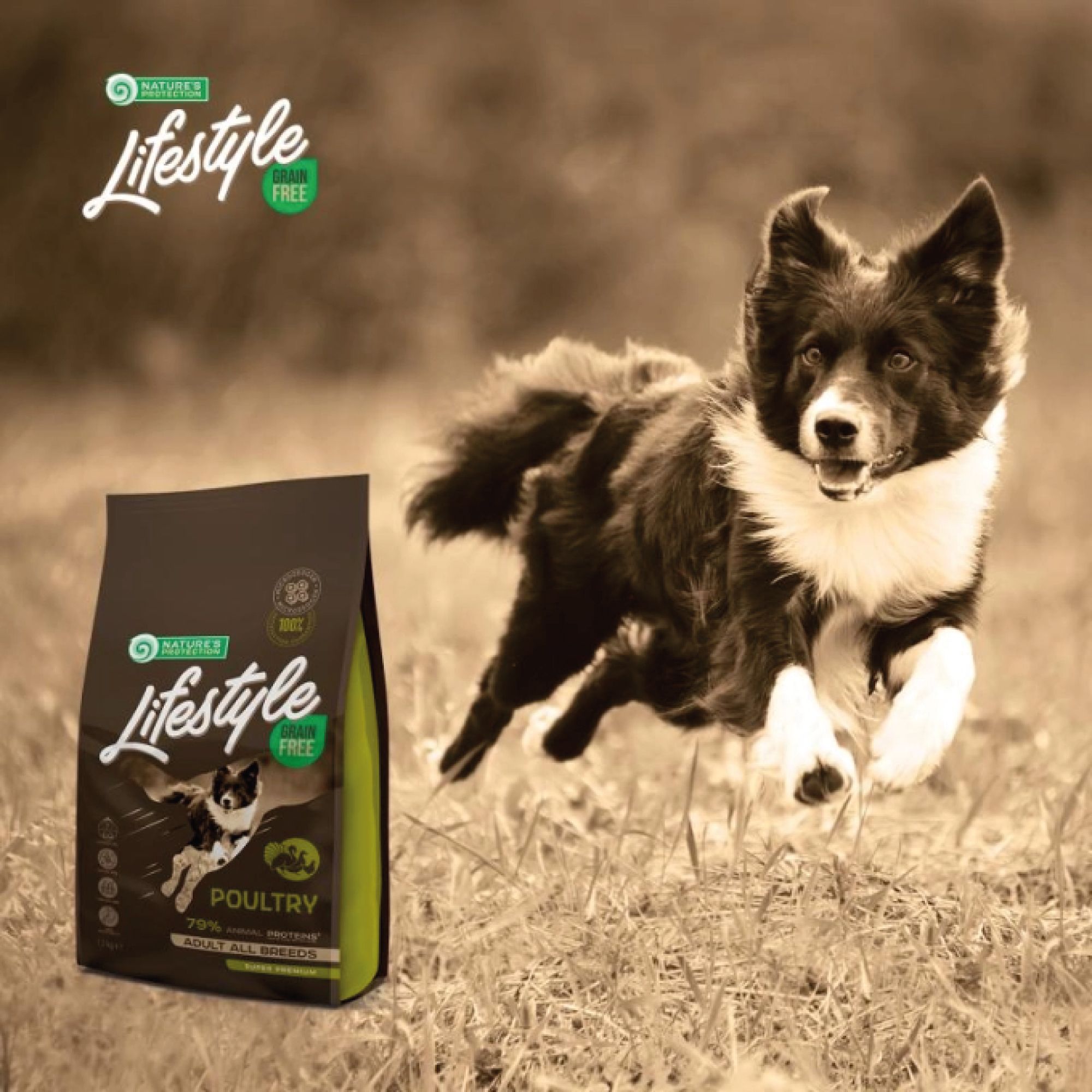 Hundefutter-Tüte vor verschwommenem Hintergrund mit Hund. Aufschrift: Lifestyle, Grain Free, Poultry, 79% tierische Proteine, Adult All Breeds.