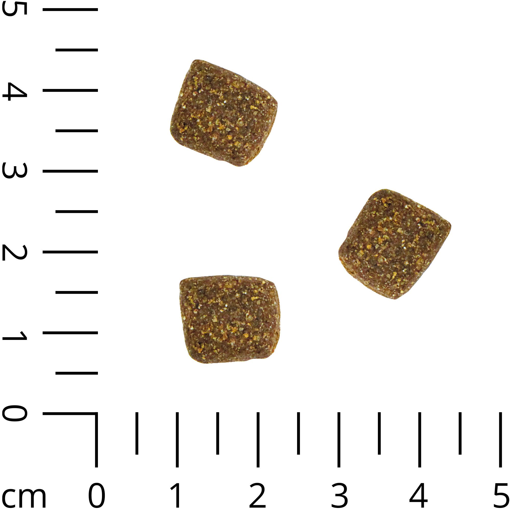 Schecker DOGREFORM Strauß und Mais - Trockenfutter - glutenfrei - ideal für allergische Hunde