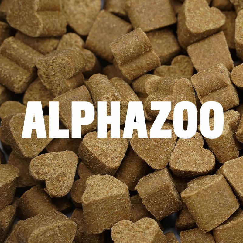 ALPHAZOO Auf Dem Sprung