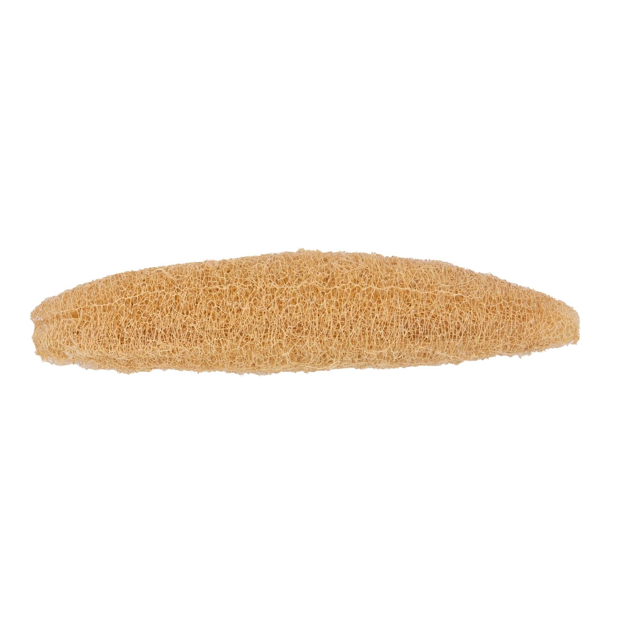 Gurke-Loofah aus Naturfaser. Hellbraune, längliche Form mit feinmaschiger Struktur. Auf weißem Hintergrund.