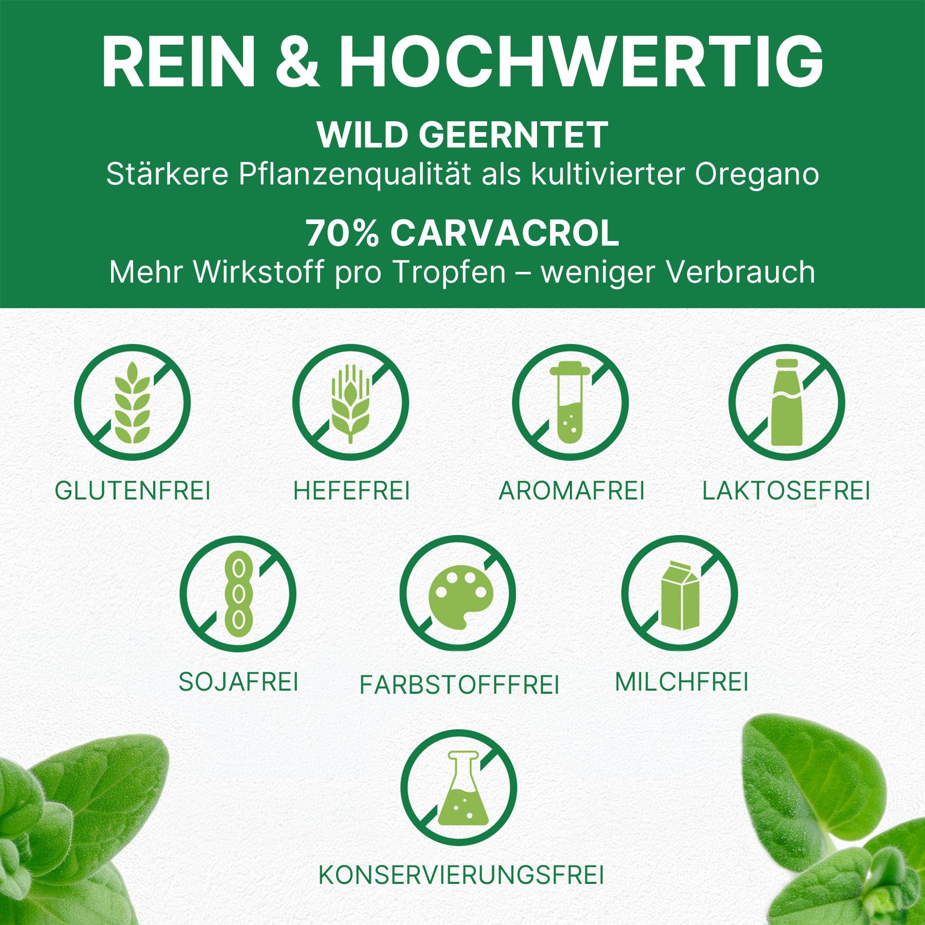 ALIVER Wildes Oregano Öl Liquid Tropfen mit Carvacrol Vegan Natur