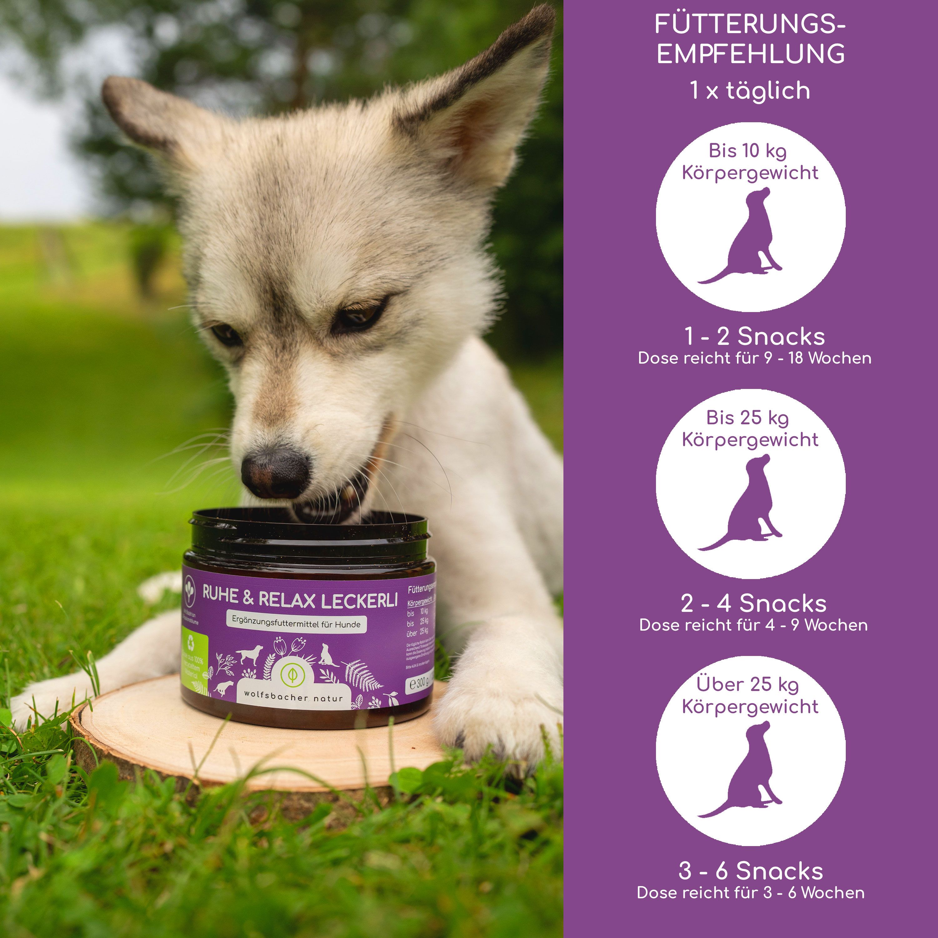 Ein Welpe frisst aus einem Glas 'Ruhe & Relax Leckerli'. Rechts: Fütterungsempfehlung für Hunde.