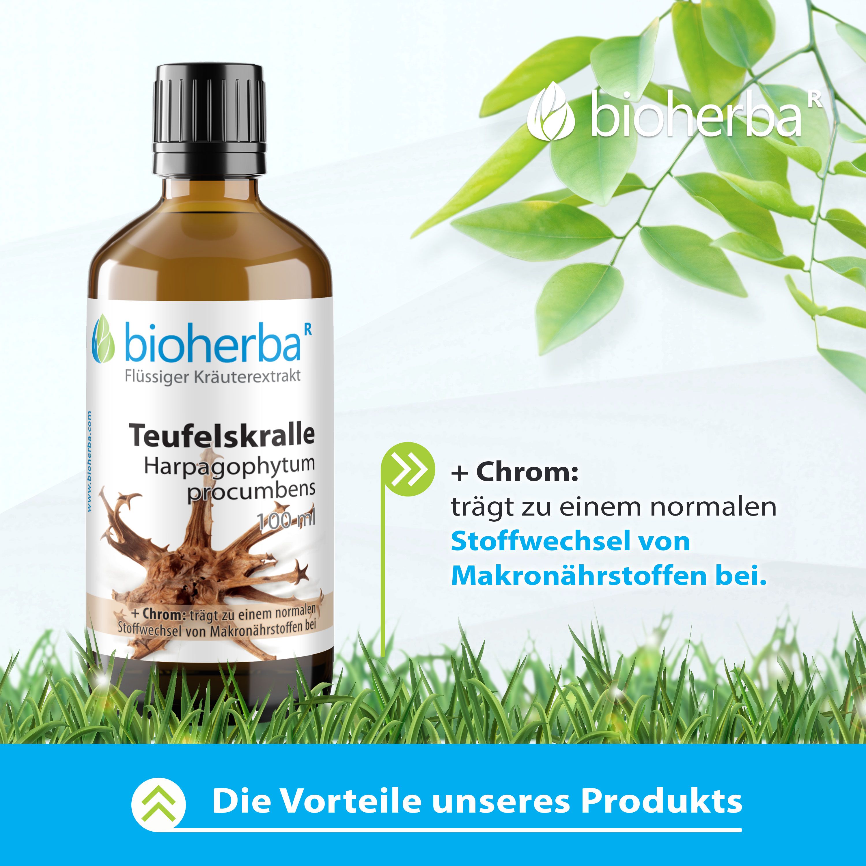 Bioherba Teufelskralle Tropfen  Tinktur Extrakt