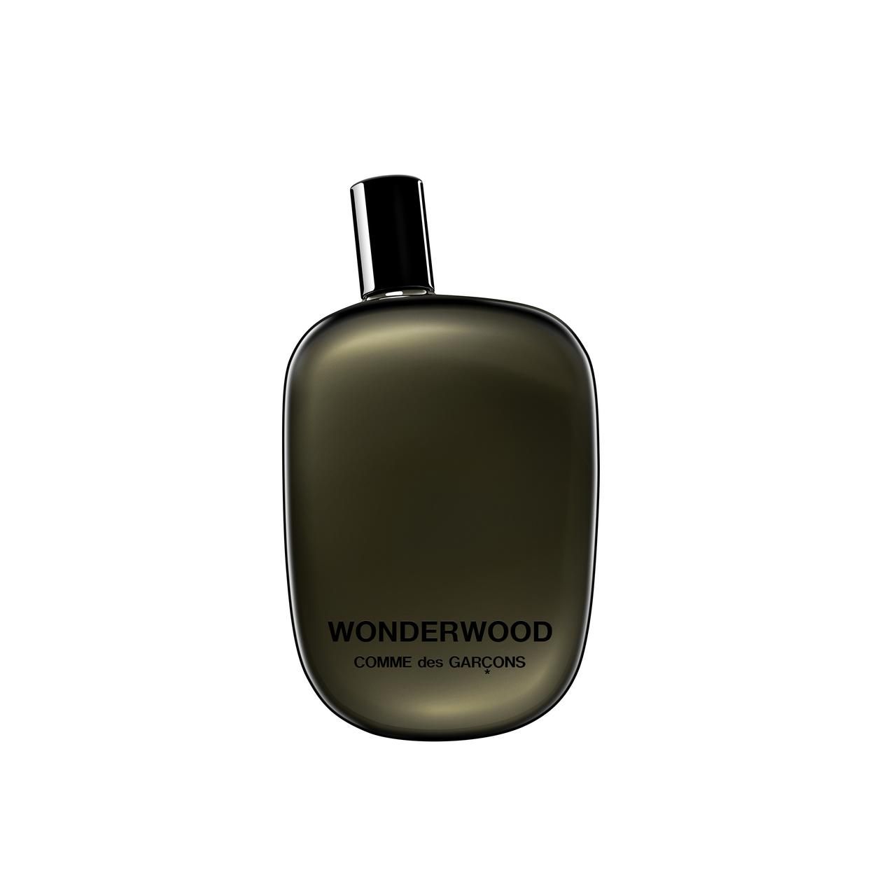 COMME des GARCONS WONDERWOOD 100ml 香水 その他 discoverytrials.com