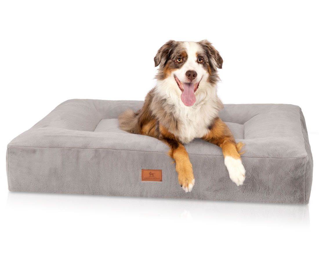 Graues orthopädisches Hundebett. Ein Hund liegt auf dem Bett. Quadratische Form mit erhöhtem Rand. Markenlabel.