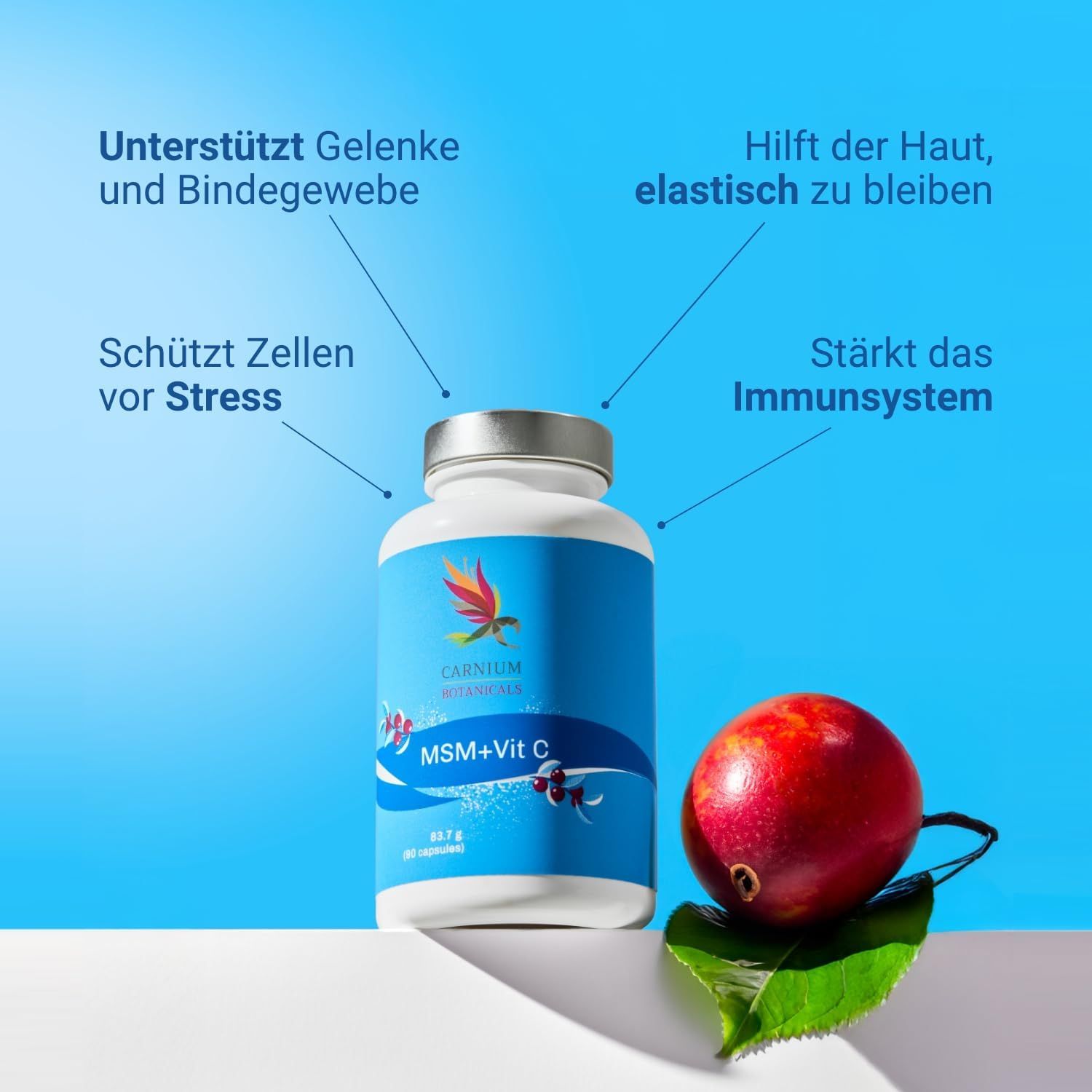 CARNIUM BOTANICALS MSM+Vit C