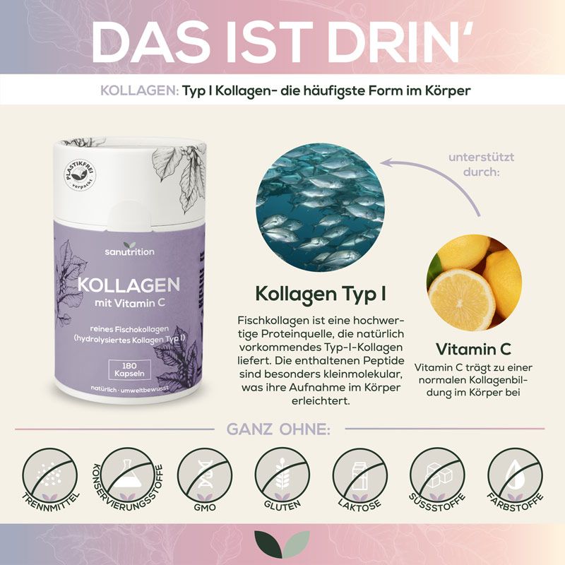 Infografik mit Sanutrition Kollagen Dose. Enthält Informationen zu Kollagen Typ I, Vitamin C und Inhaltsstoffen. Ohne Zusätze.