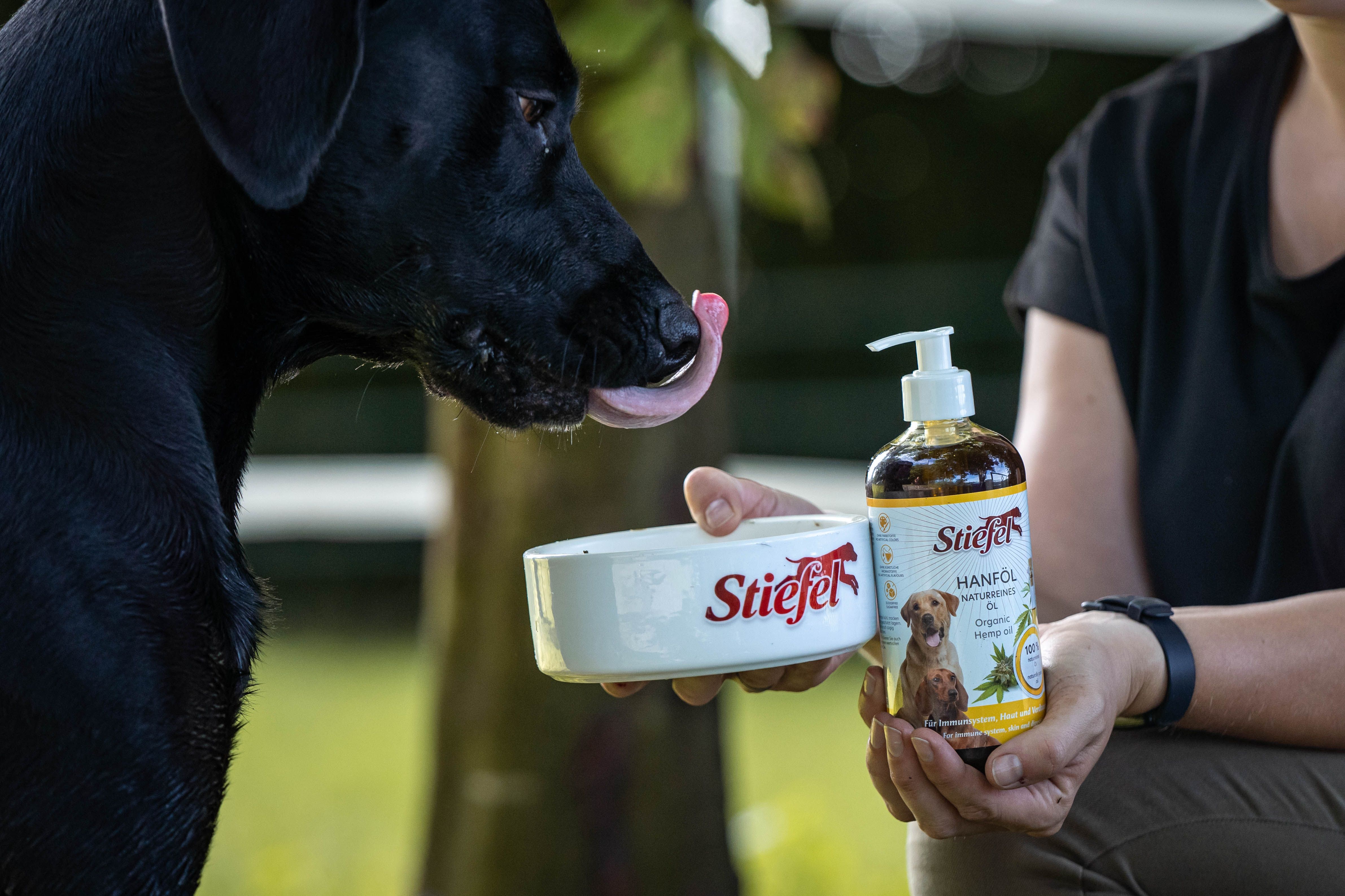Person hält eine Flasche Stiefel Hanföl und eine Schüssel mit dem Logo. Ein Hund leckt an der Schüssel.