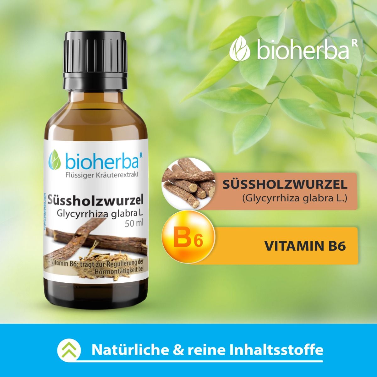 Braune Flasche mit schwarzem Deckel. Etikett: Bioherba Süssholzwurzel, Glycyrrhiza glabra L. 50 ml. Text: Vitamin B6. Zusätzliche Grafik.