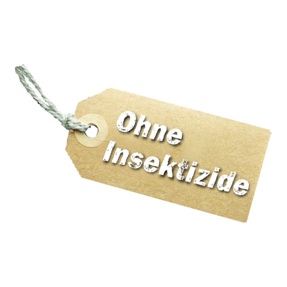 Neudorff Gelbtafeln - Großformatig