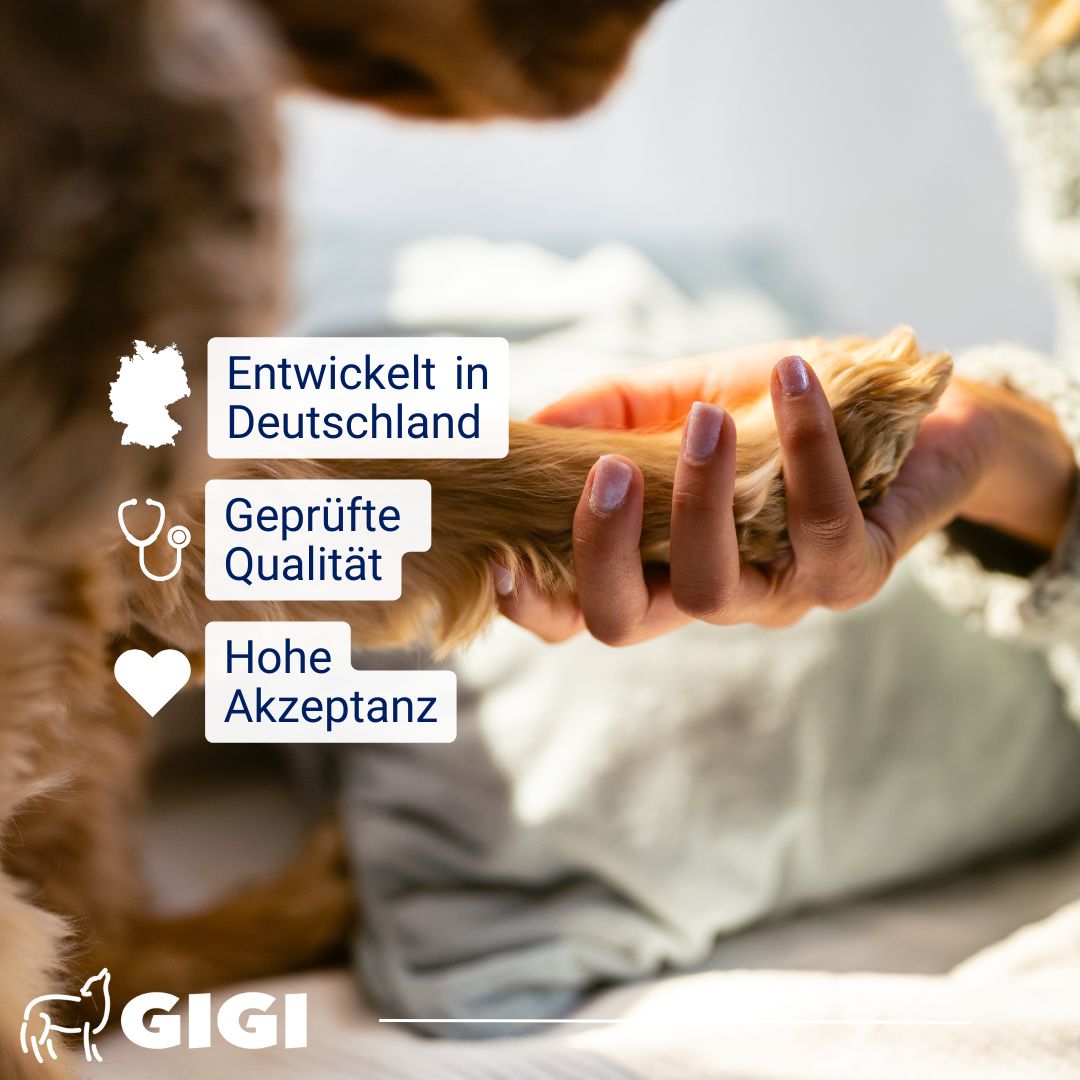 Nahaufnahme einer Hand, die eine Hundepfote hält. Text: Entwickelt in Deutschland, Geprüfte Qualität, Hohe Akzeptanz. GIGI Logo.