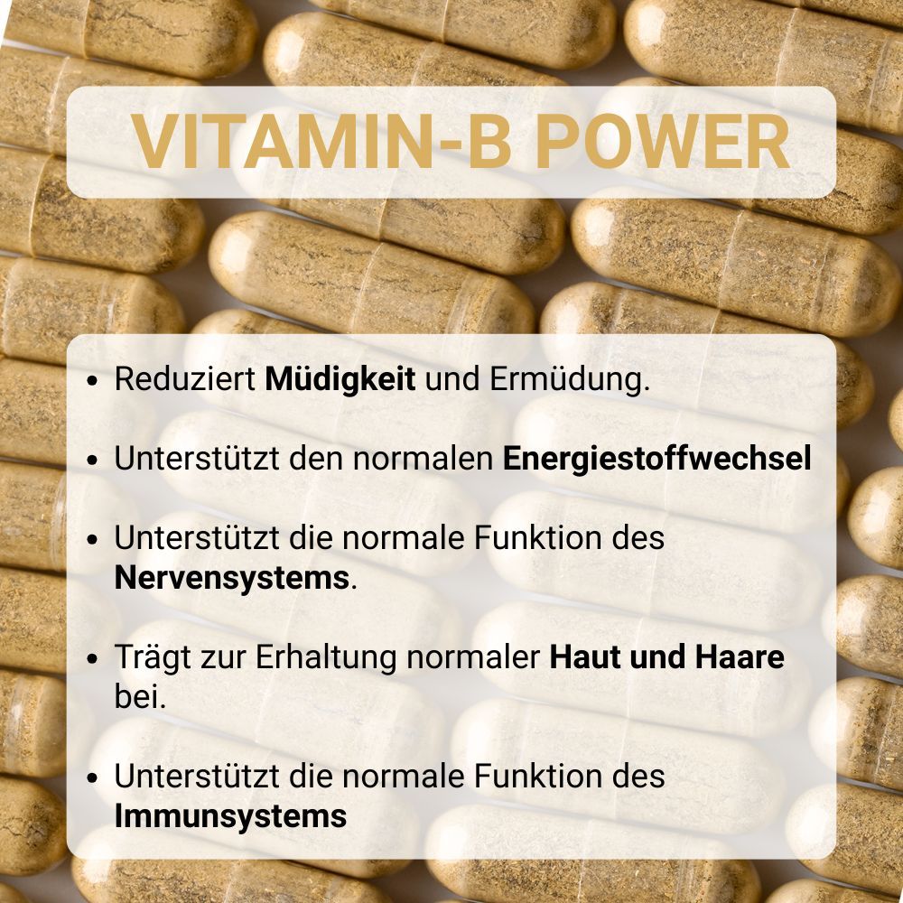 SwissOvit Vitamin B-Komplex