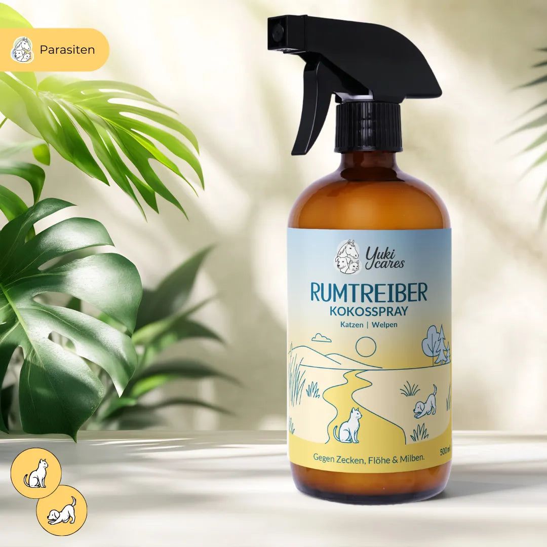 Braune Sprühflasche mit Etikett. Aufschrift: Rumtreiber Kokosspray für Katzen. Mit Sprühkopf. Hintergrund: Pflanzen.