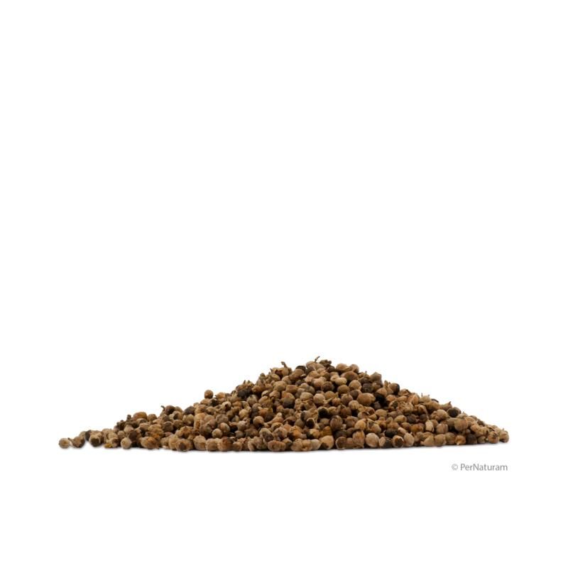 Pernaturam Mönchspfeffer