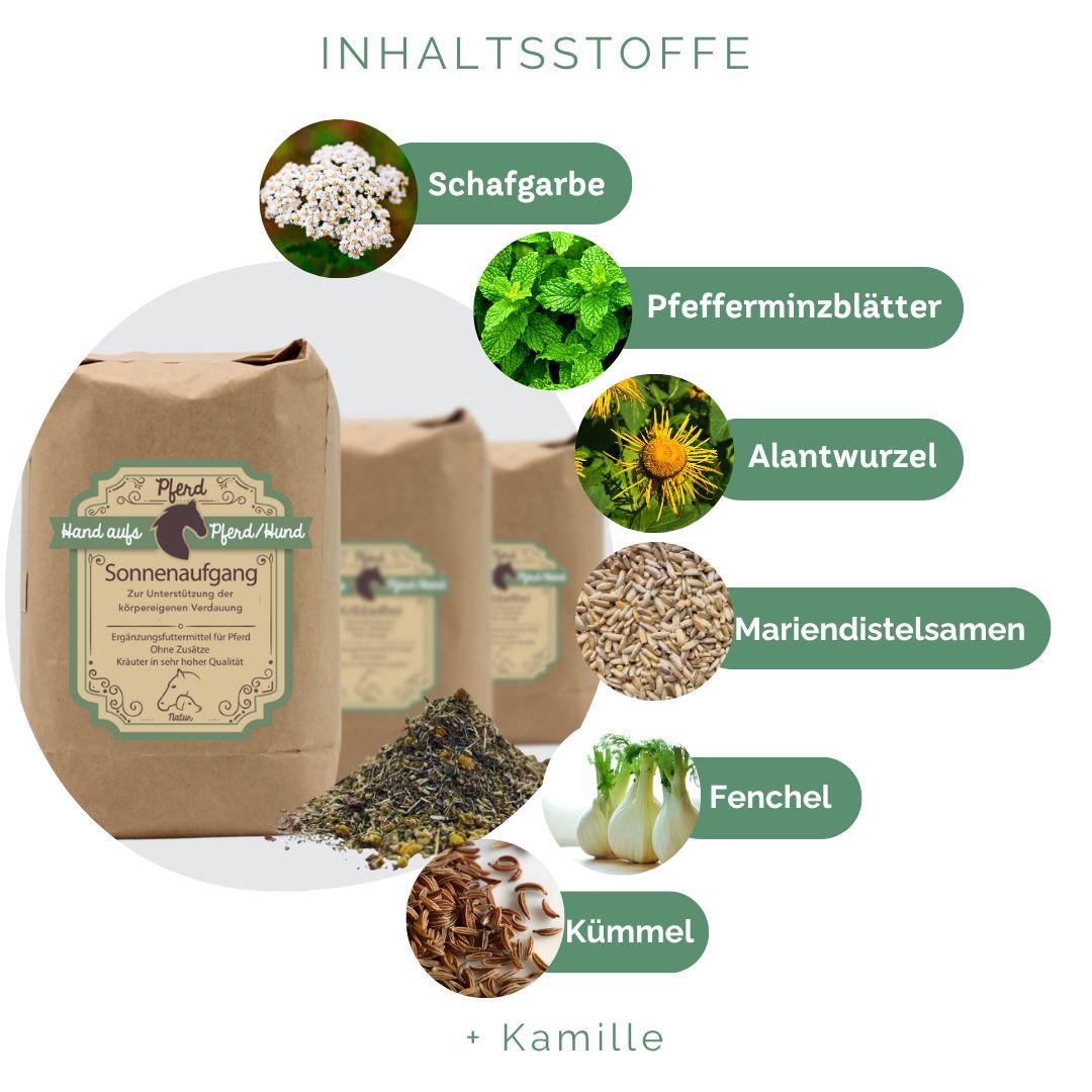 Braune Papiertüte, Kräutermischung und Zutaten: Schafgarbe, Pfefferminzblätter, Alantwurzel, Mariendistelsamen, Fenchel, Kümmel, Kamille. Text: Inhaltstoffe.