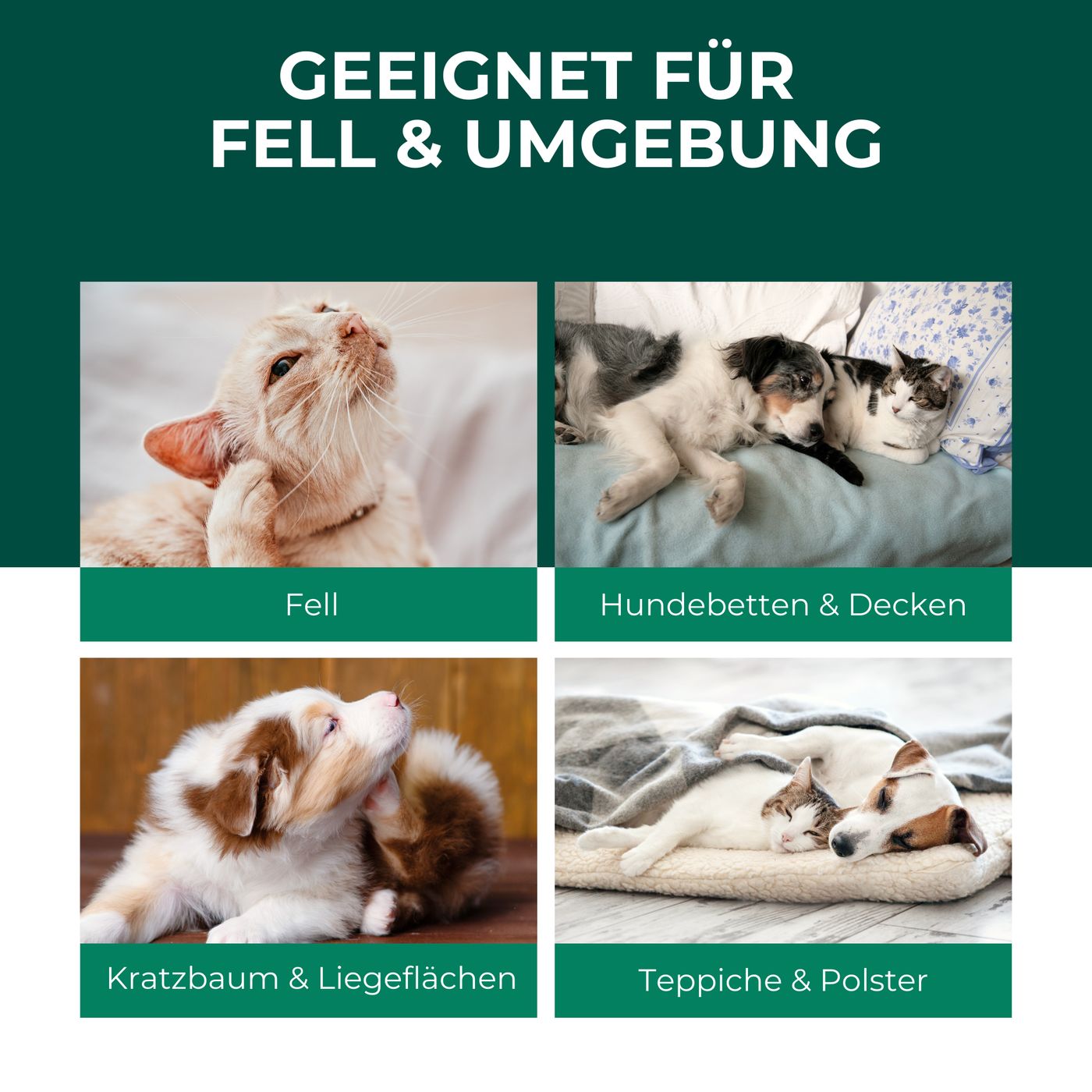 Bilder von Katze, Hund auf Hundebetten, Kratzbaum und Teppich. Text: Geeignet für Fell & Umgebung.