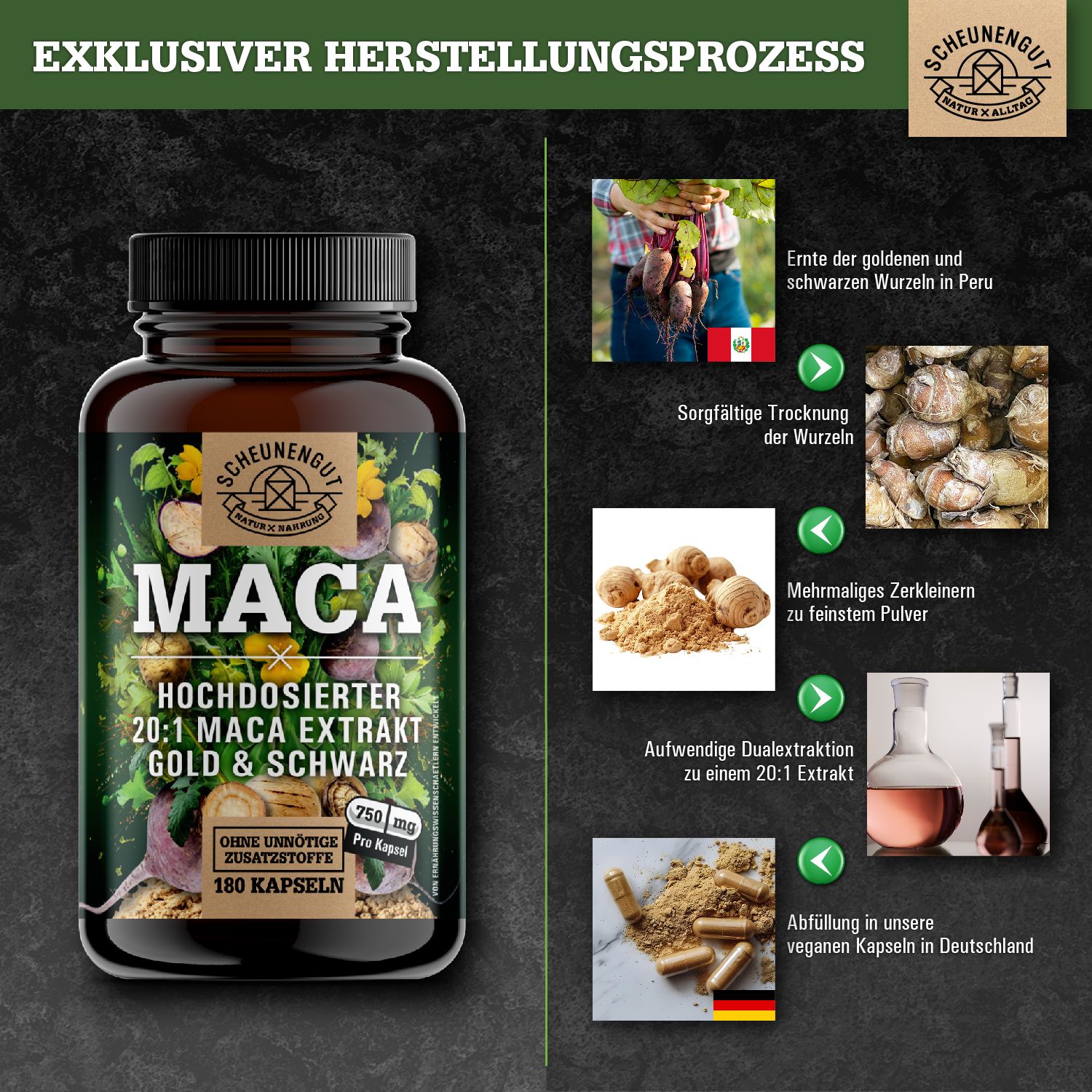 Braune Flasche mit Kapseln. Aufschrift: MACA, 20:1 Extrakt, Gold & Schwarz. Grafiken zeigen Herstellungsprozess.