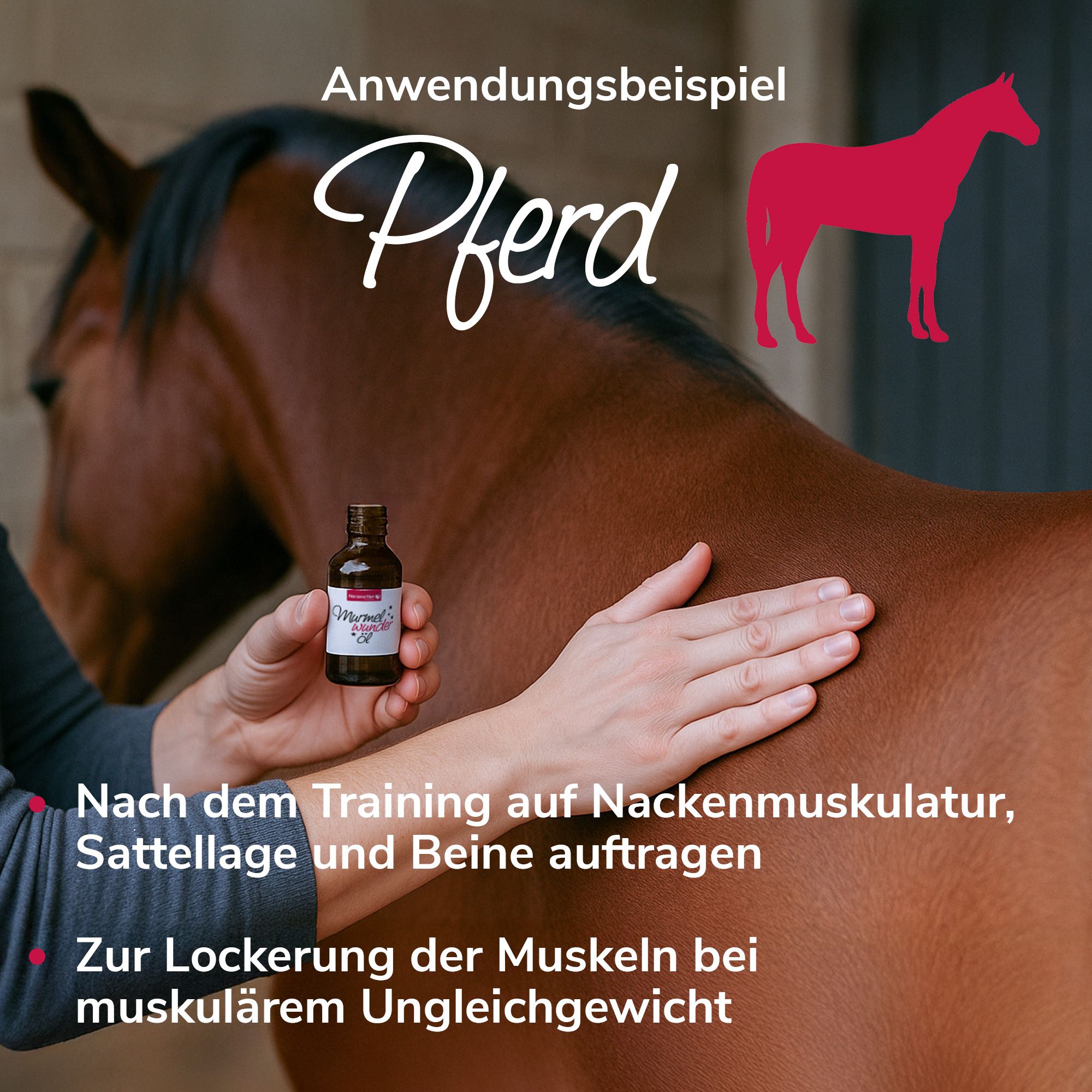 HerzensTier Murmelwunderöl für Hunde, Katzen & Pferde